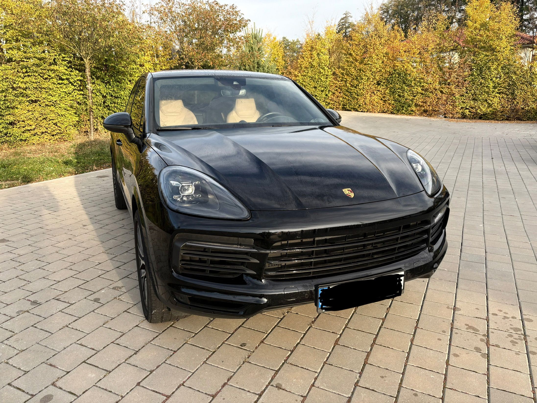 Porsche Cayenne, V6 - běžový interiér