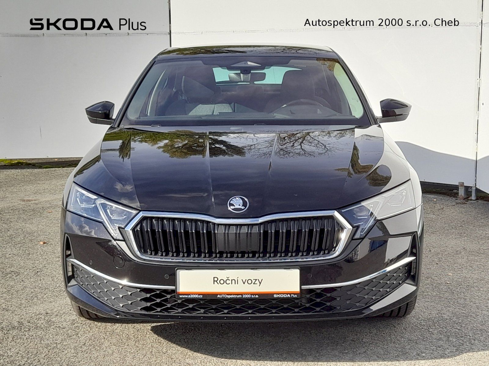 Škoda Octavia, Top Selection 2.0 TDI 110kW 7A - fotka 4