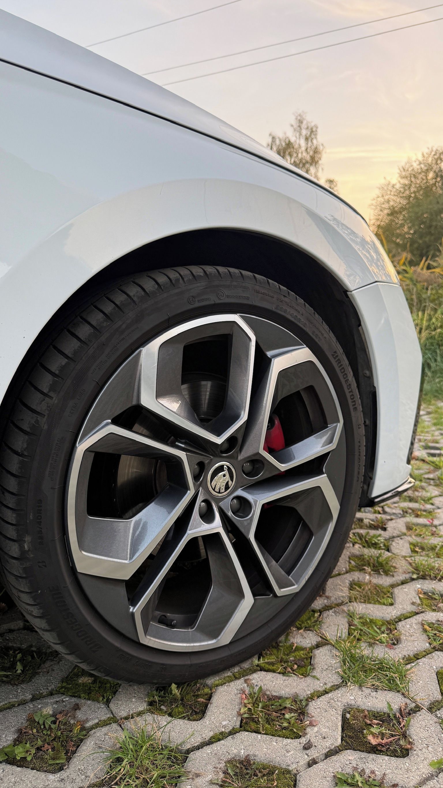 Škoda Octavia, Škoda Octavia Rs 4x4 - fotka 6