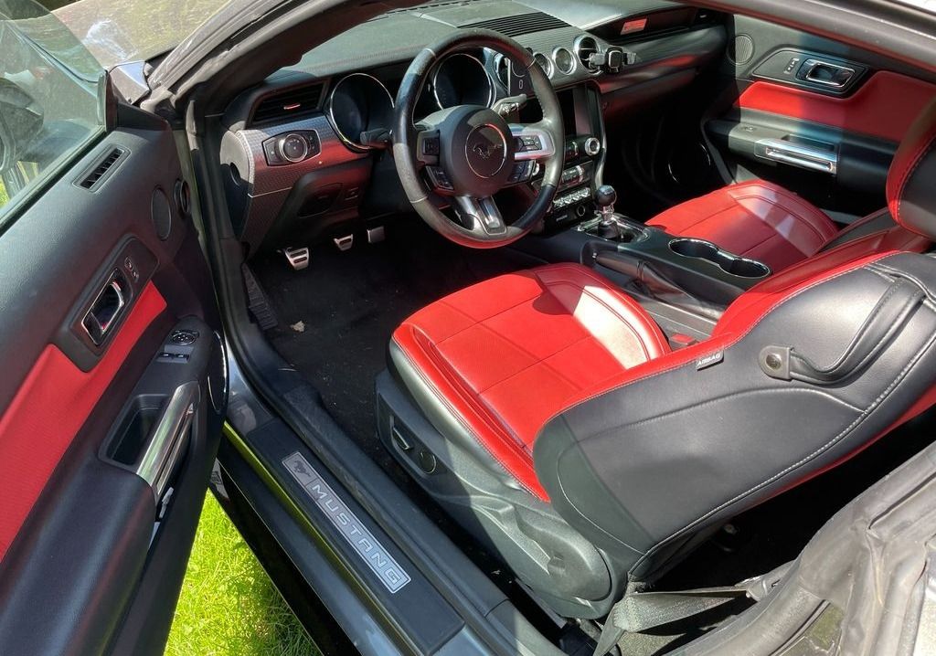 Ford Mustang, 5.0 V8 - fotka 4