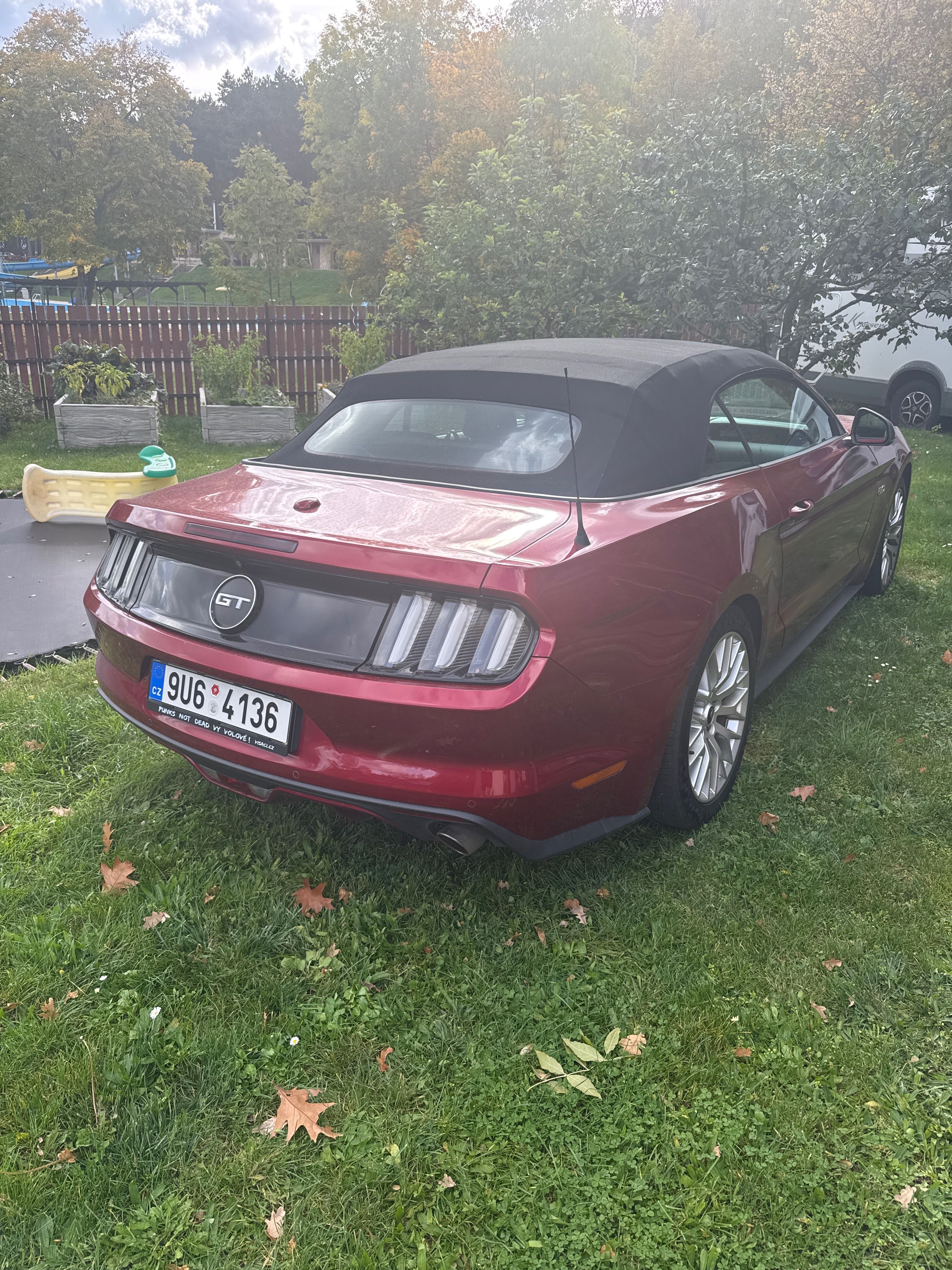 Ford Mustang, Cabrio,5v8,450hp,1.maj. - fotka 3