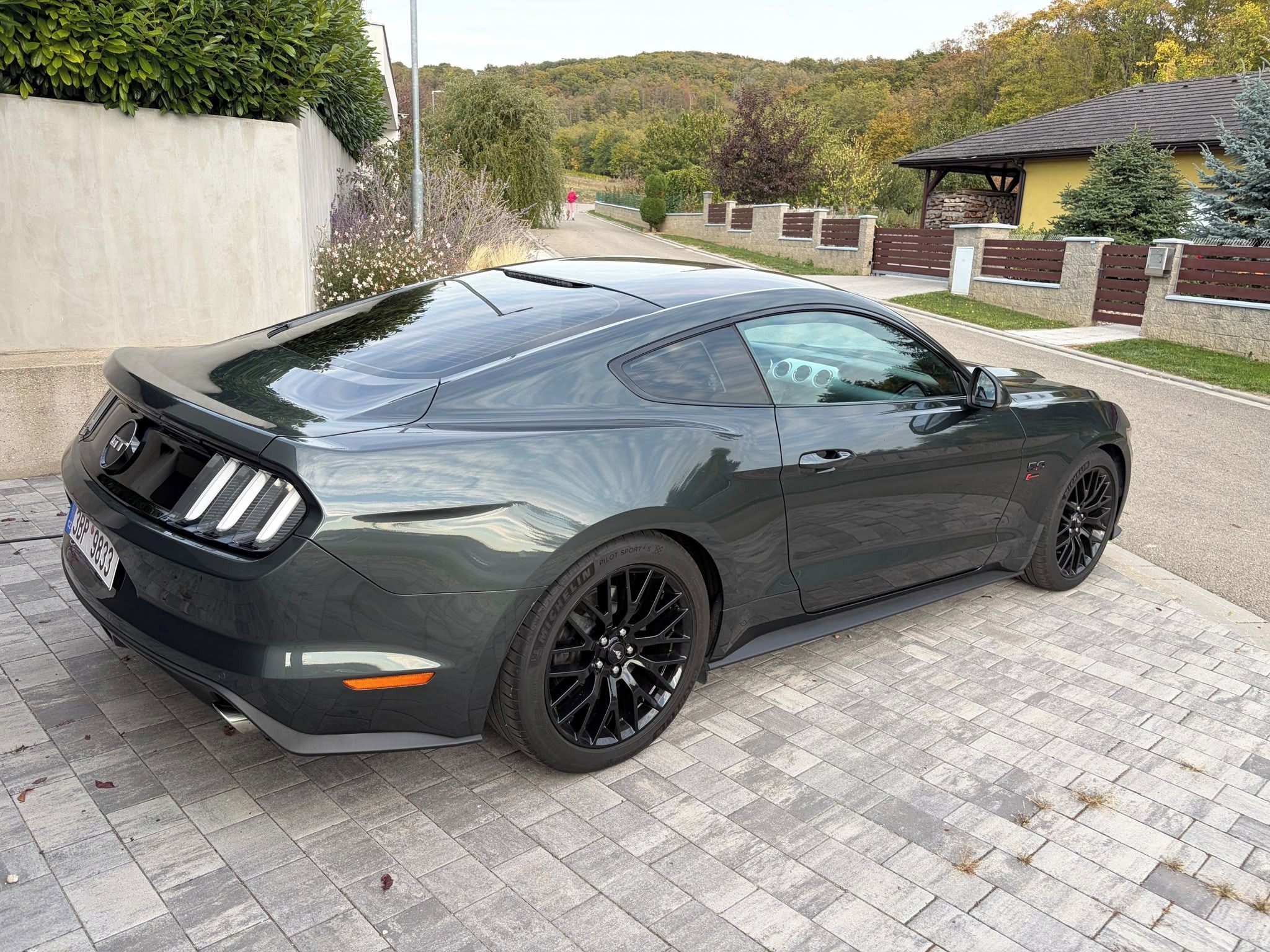 Ford Mustang, 5.0 V8 Supercharger EU - fotka 2