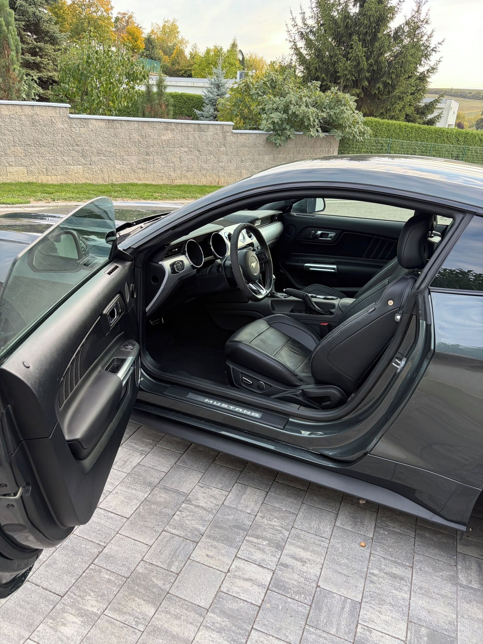 Ford Mustang, 5.0 V8 Supercharger EU - fotka 5