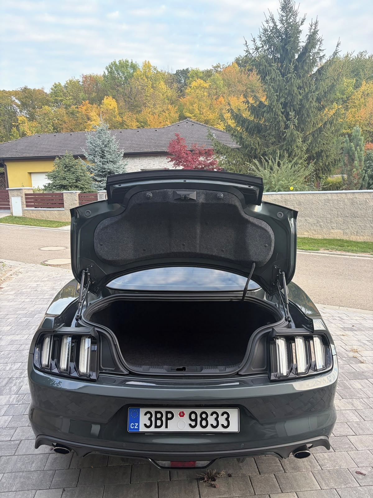Ford Mustang, 5.0 V8 Supercharger EU - fotka 6
