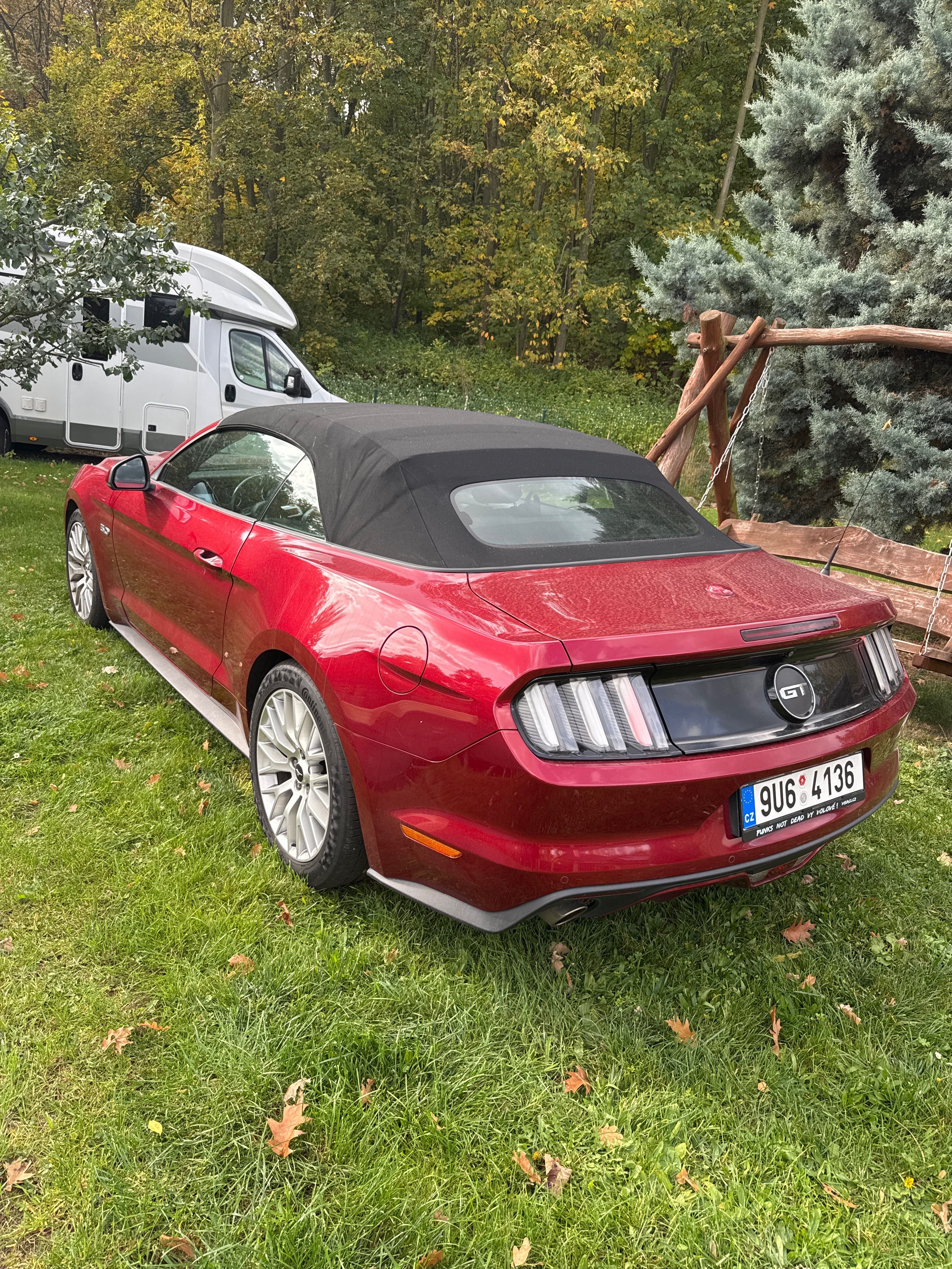 Ford Mustang, Cabrio,5v8,450hp,1.maj. - fotka 4