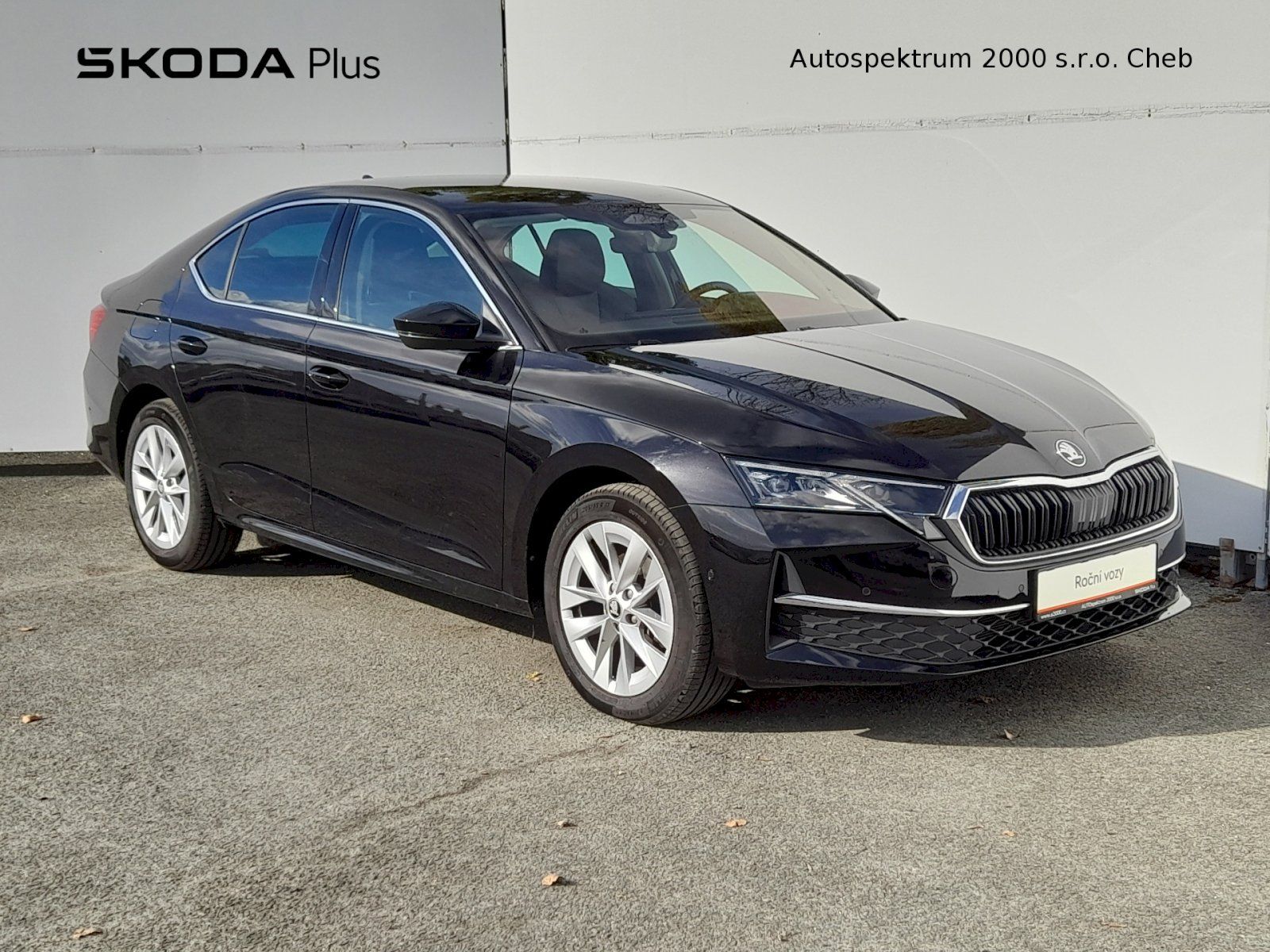 Škoda Octavia, Top Selection 2.0 TDI 110kW 7A - fotka 6