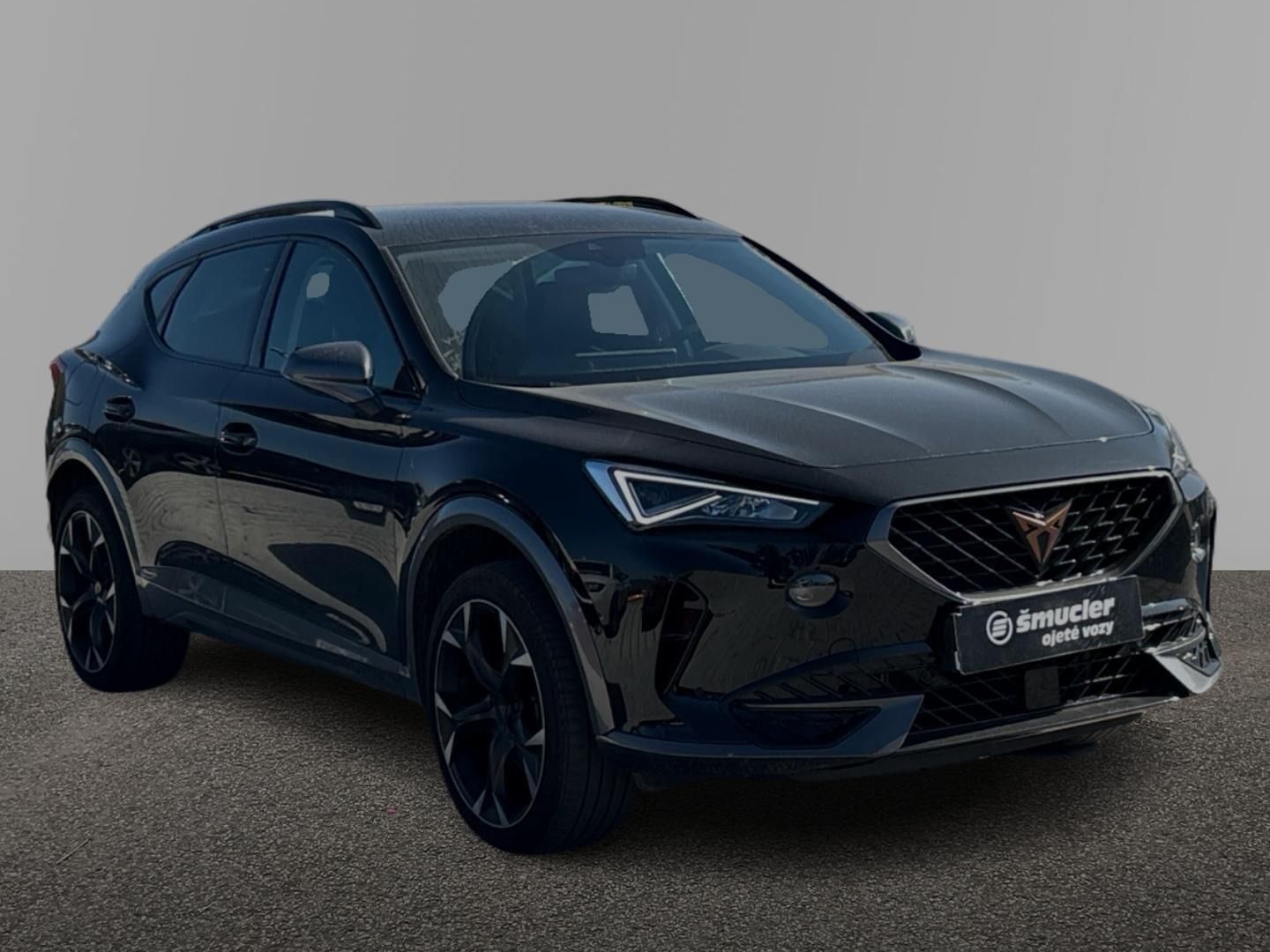 Cupra Formentor, 2.0 TSI / 140 kW 4Drive DSG - fotka 3