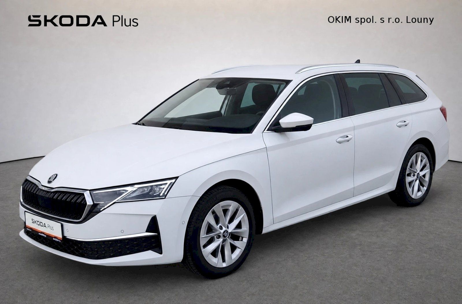 Škoda Octavia, Combi Top Selection Business 1