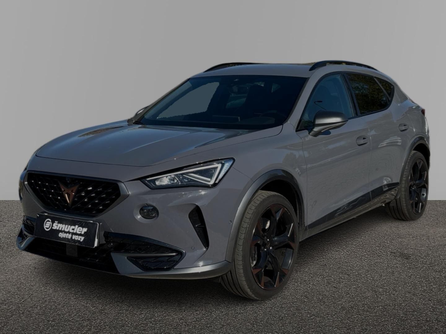 Cupra Formentor, 2.0 TSI DSG / 228 kW VZ