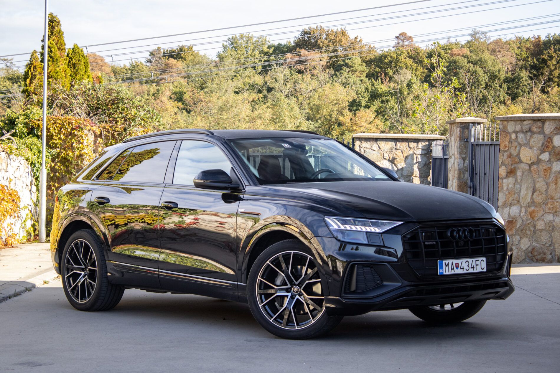 Audi Q8 - fotka 3