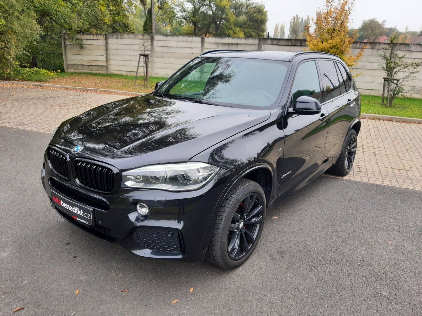 BMW X5, 3.0 D 190kW M Paket