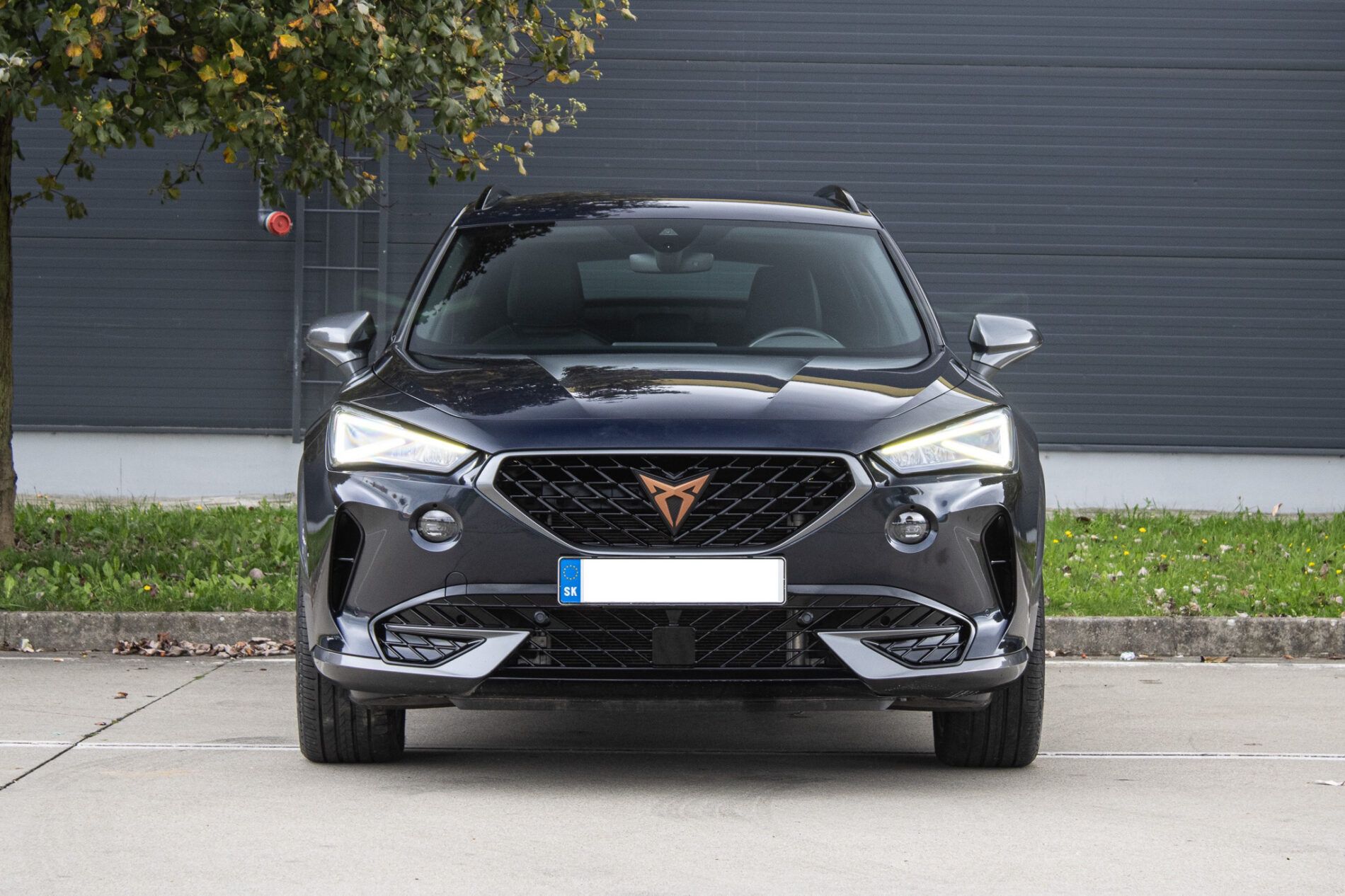 Cupra Formentor - fotka 2