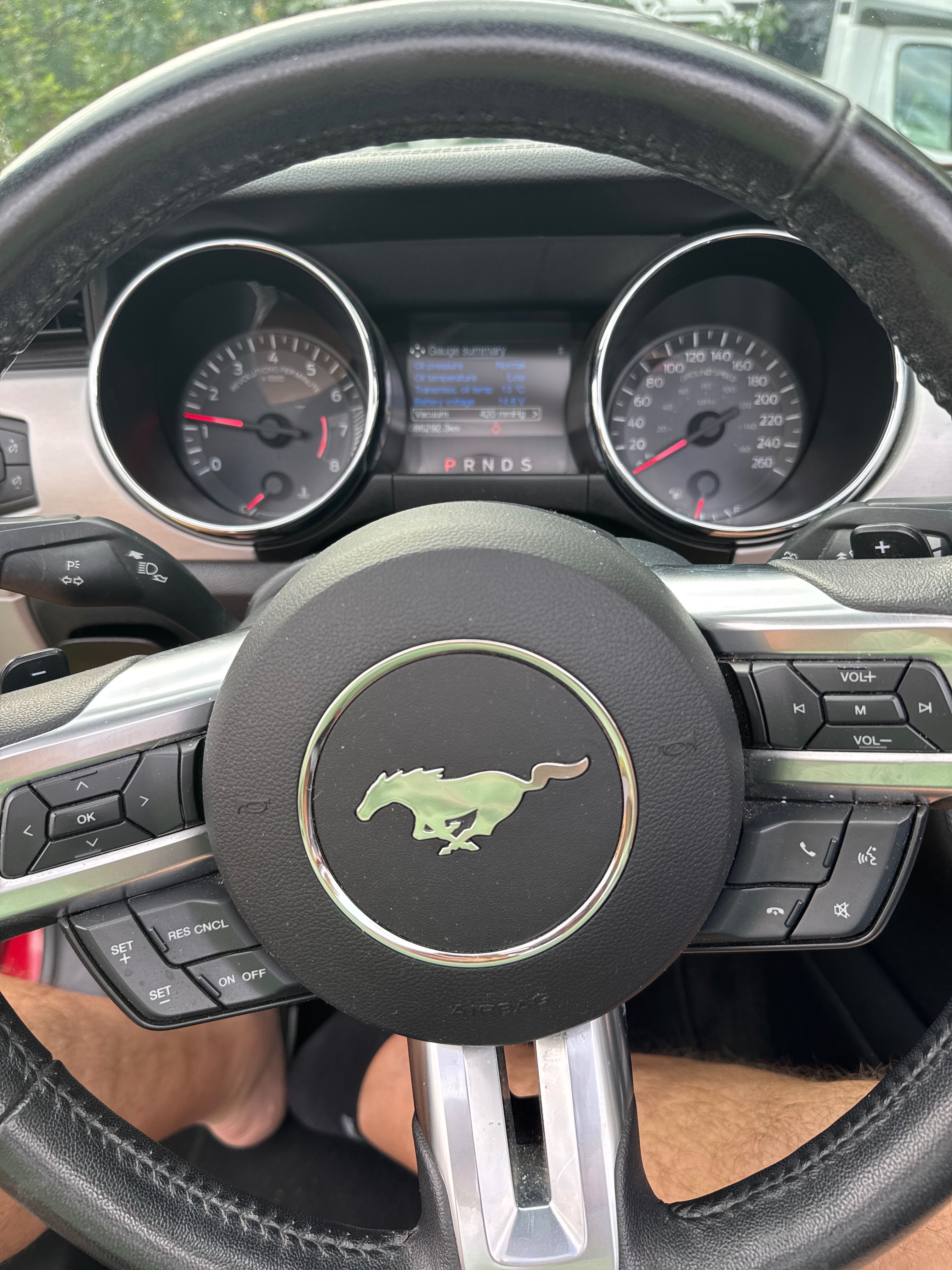 Ford Mustang, Cabrio,5v8,450hp,1.maj. - fotka 6