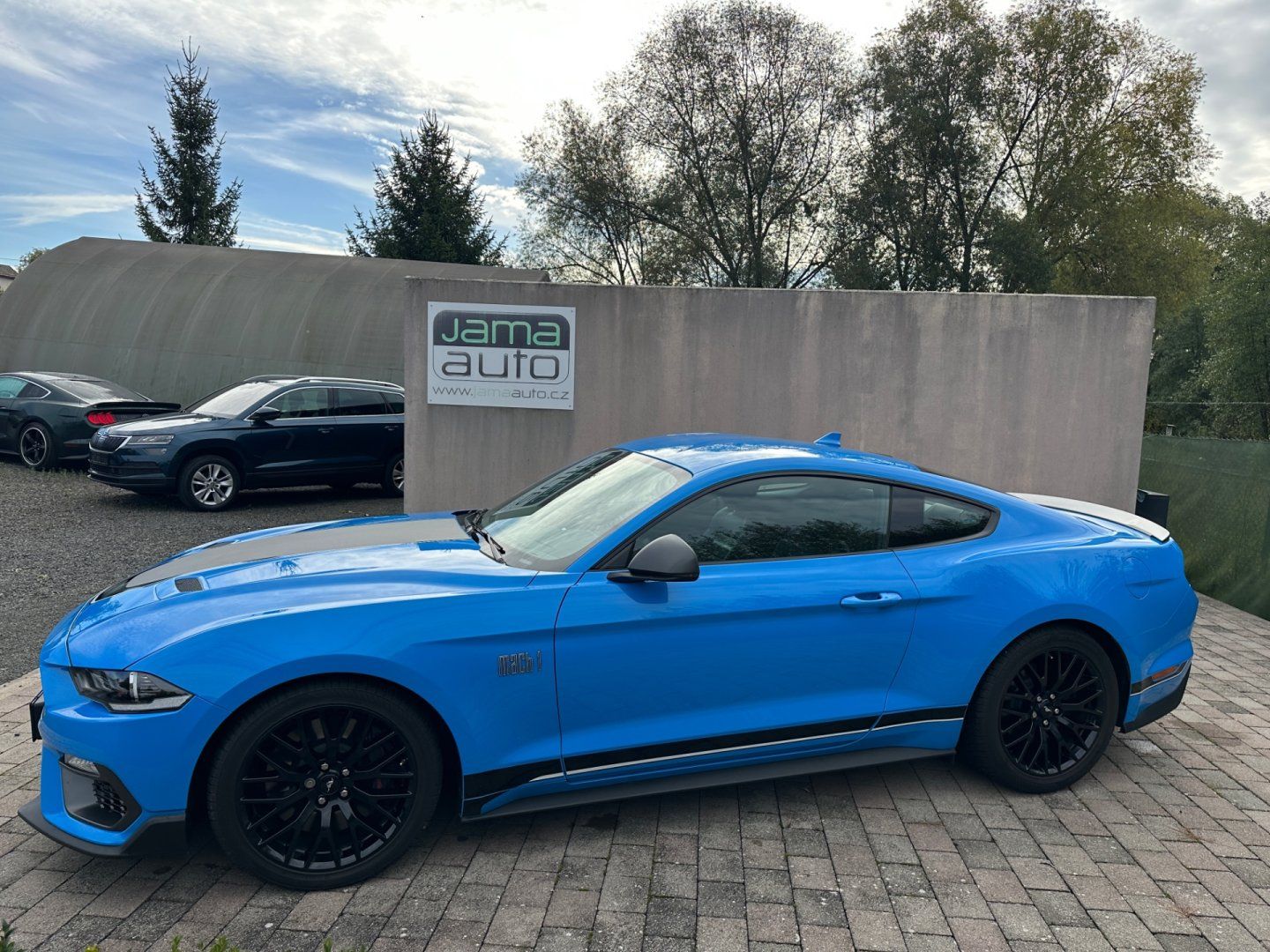 Ford Mustang, 5,0l 8V 338kW MACH 1 1.MAJITEL - fotka 4