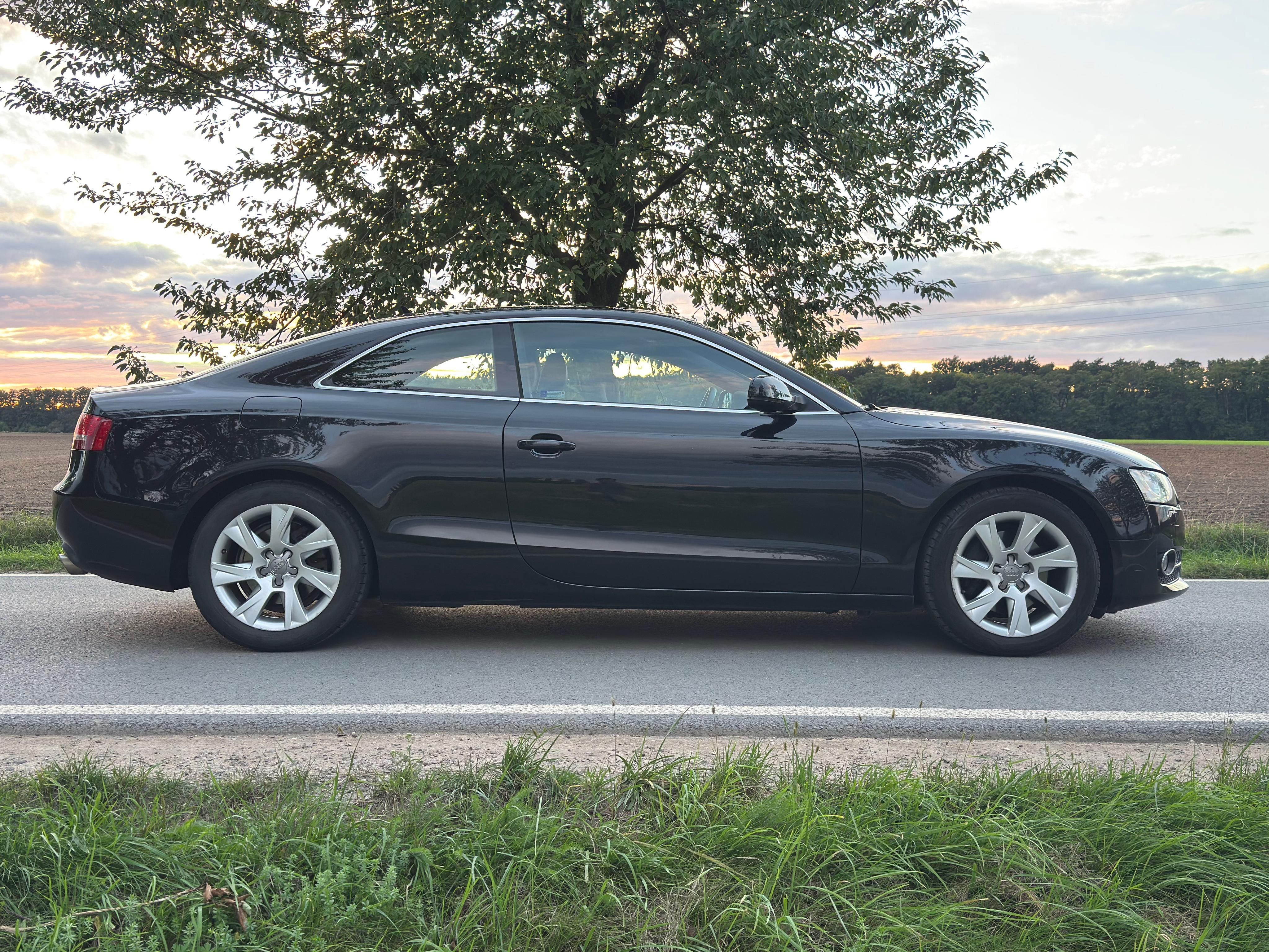 Audi A5, Coupé 3.0 TDI Quattro - fotka 4