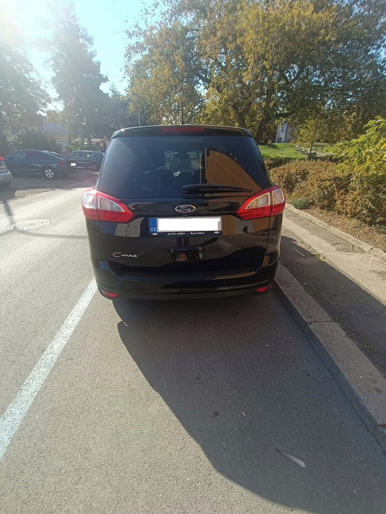 Ford Grand C-MAX, 2.0 TDI, servisováno - fotka 3