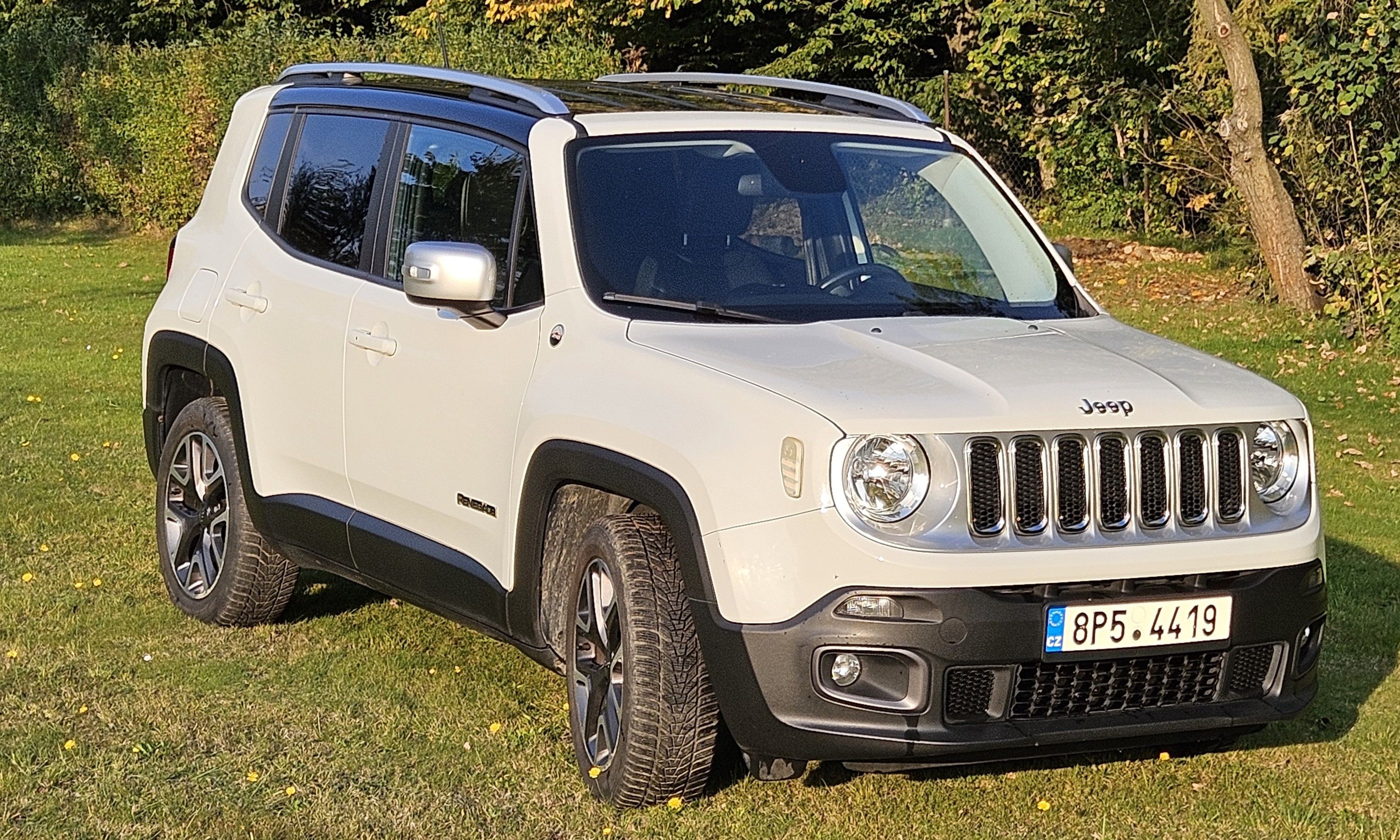 Jeep Renegade, Limited 1.6 MultiJet 88 kW - fotka 3