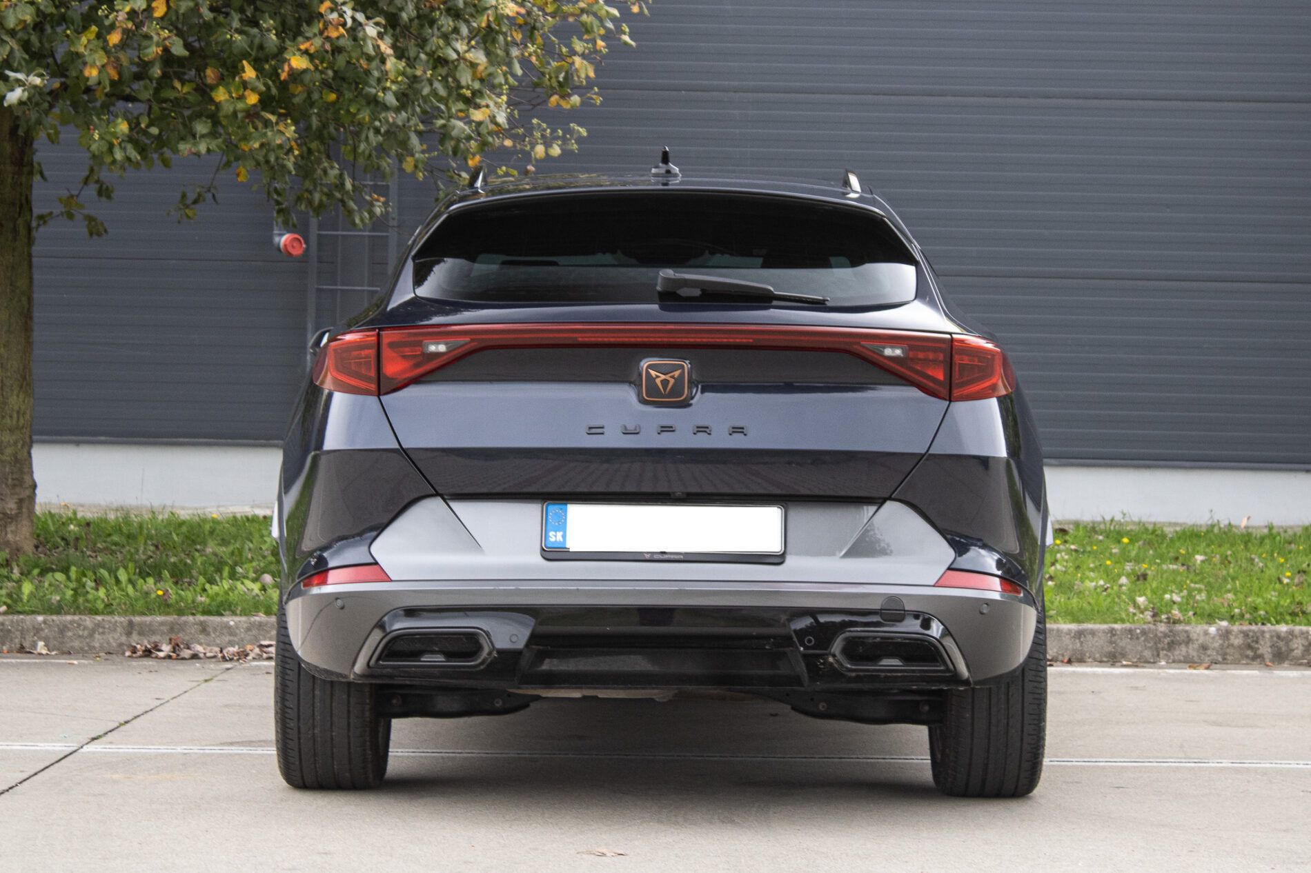 Cupra Formentor - fotka 6