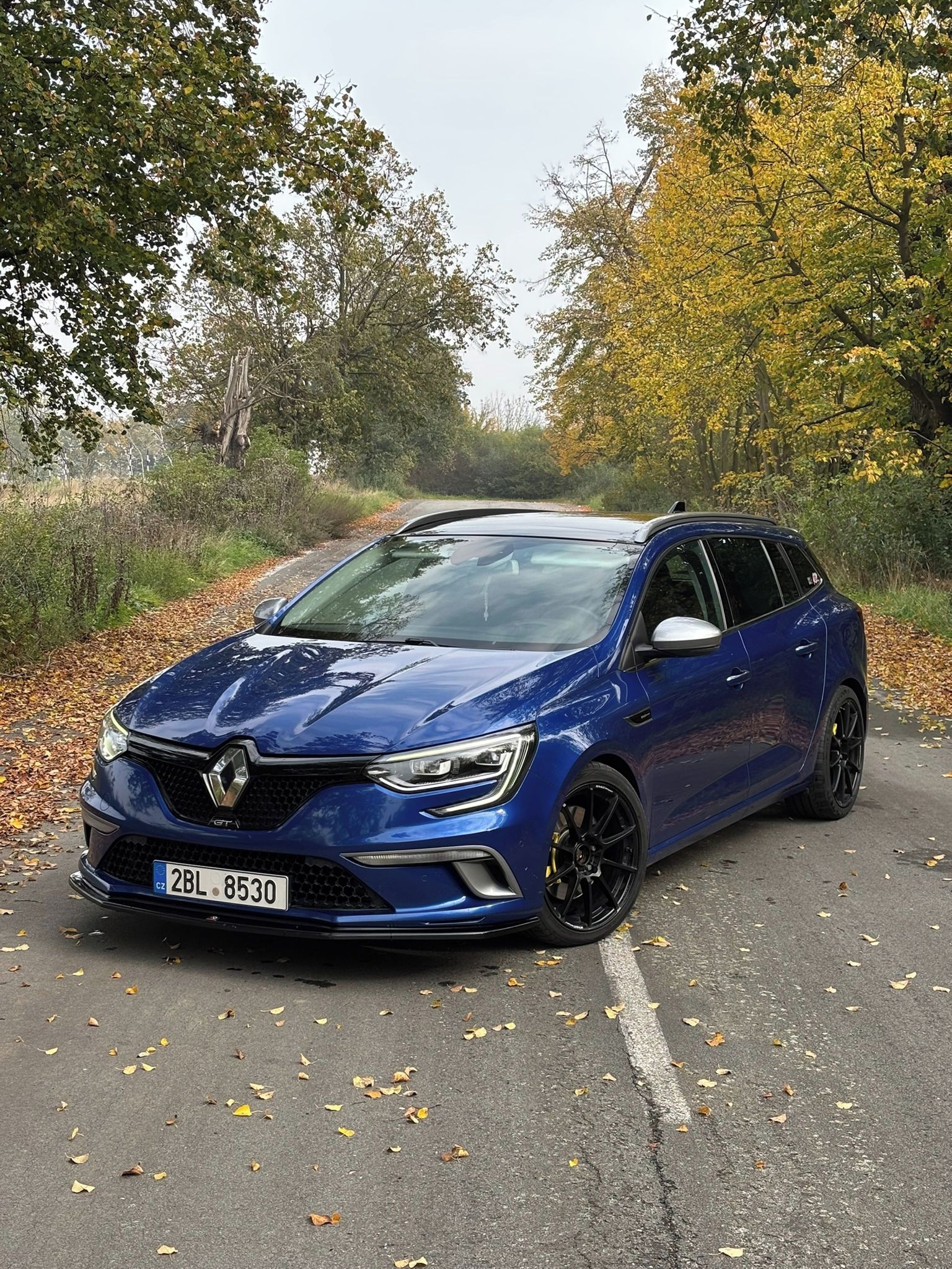 Renault Mégane, Renault Megane GT 205