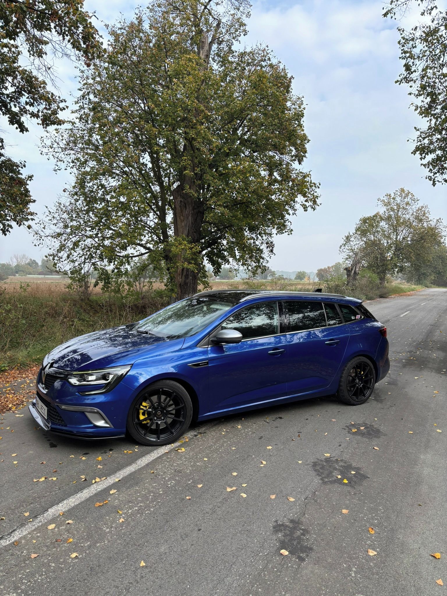 Renault Mégane, Renault Megane GT 205 - fotka 2