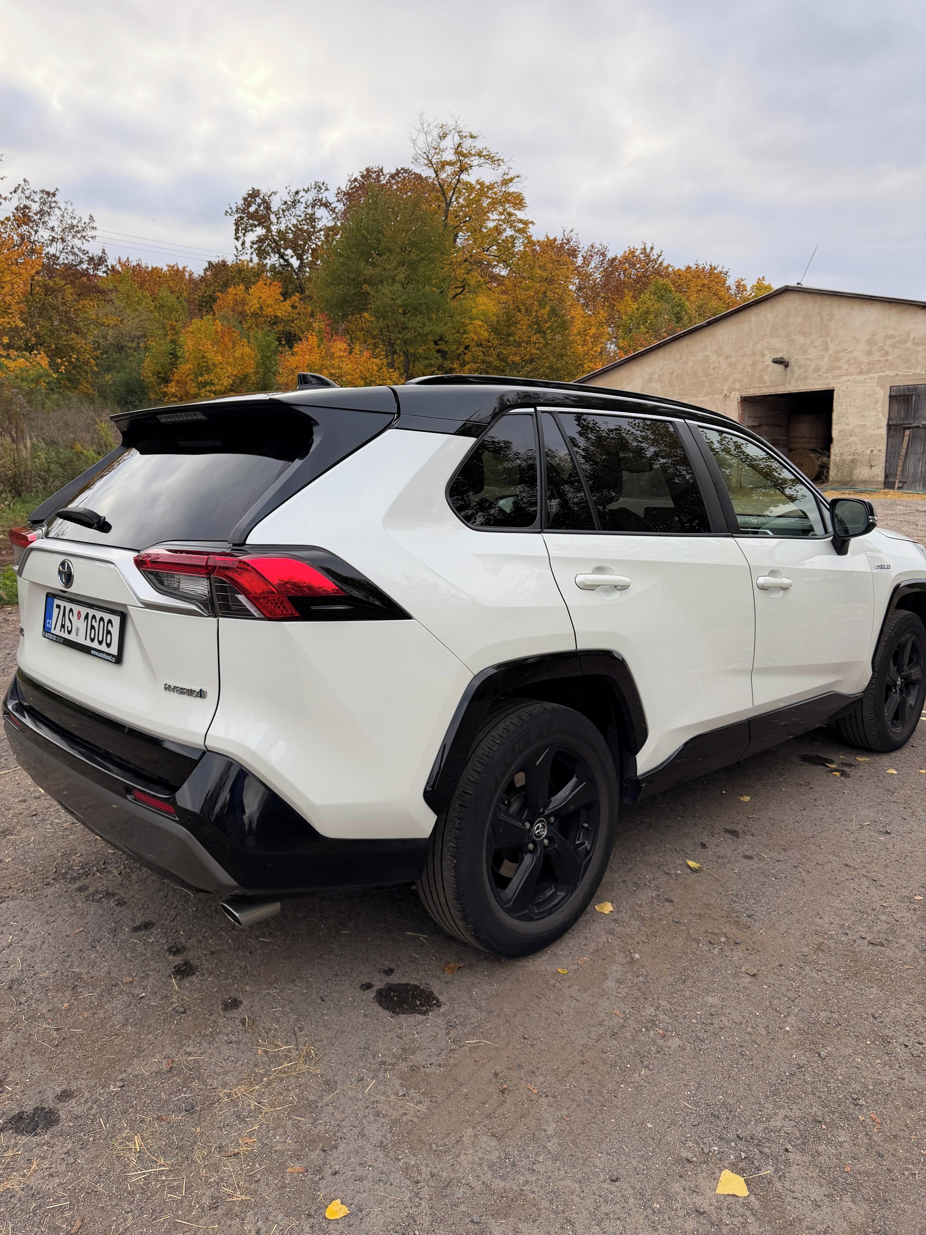 Toyota Rav4, Hybrid, 2,5 CVT - fotka 3