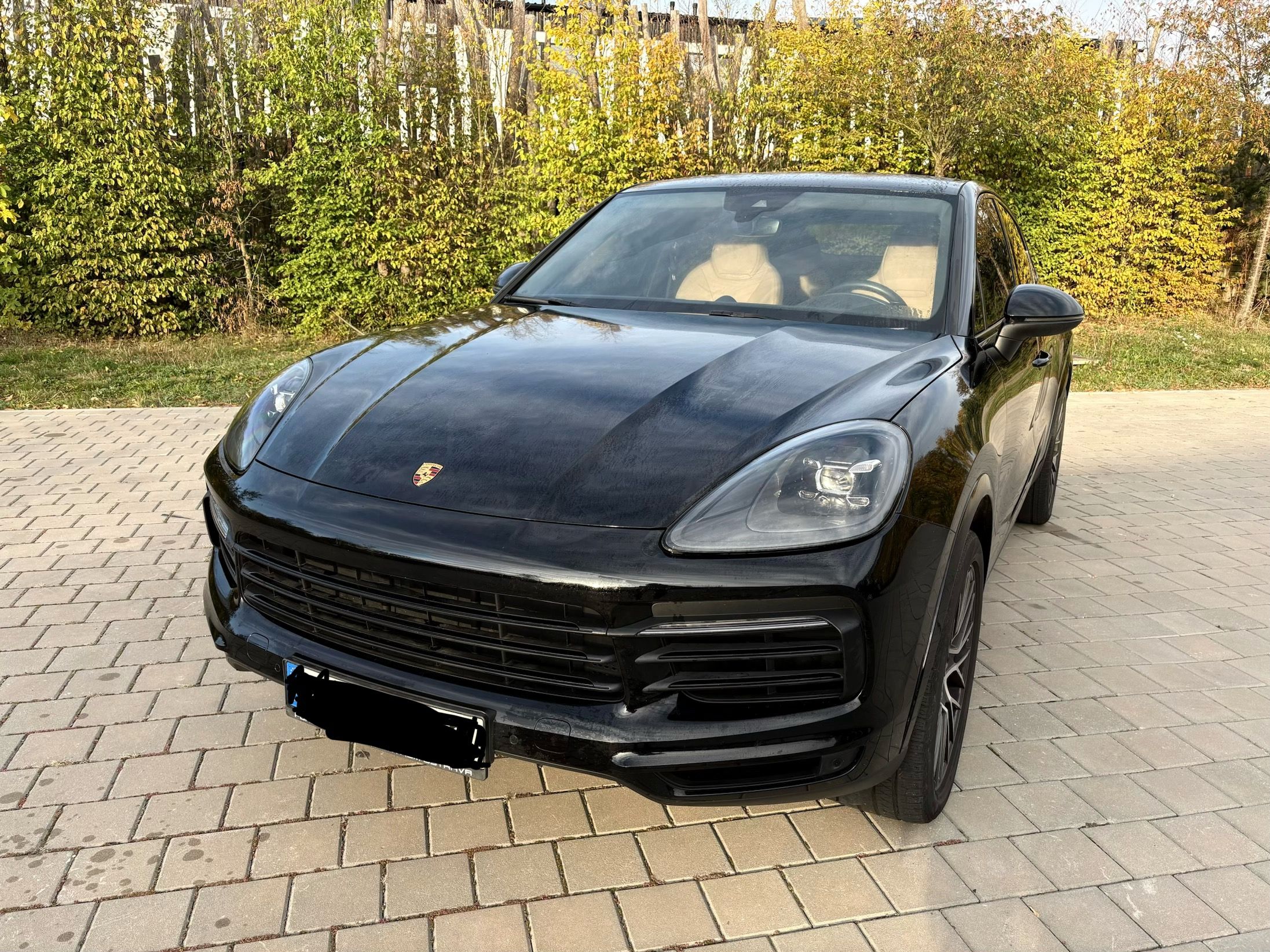 Porsche Cayenne, V6 - běžový interiér - fotka 3