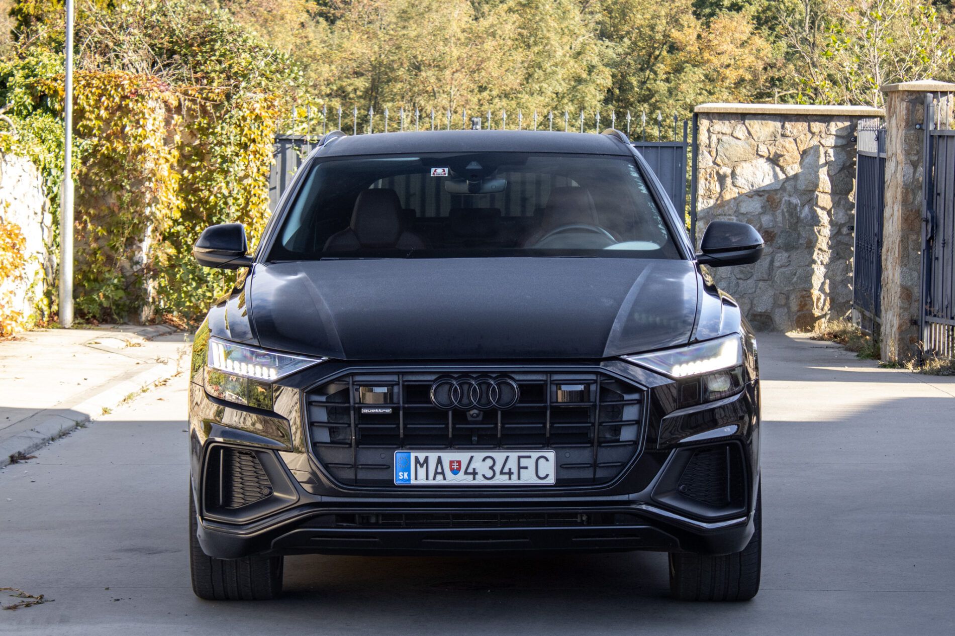 Audi Q8 - fotka 2