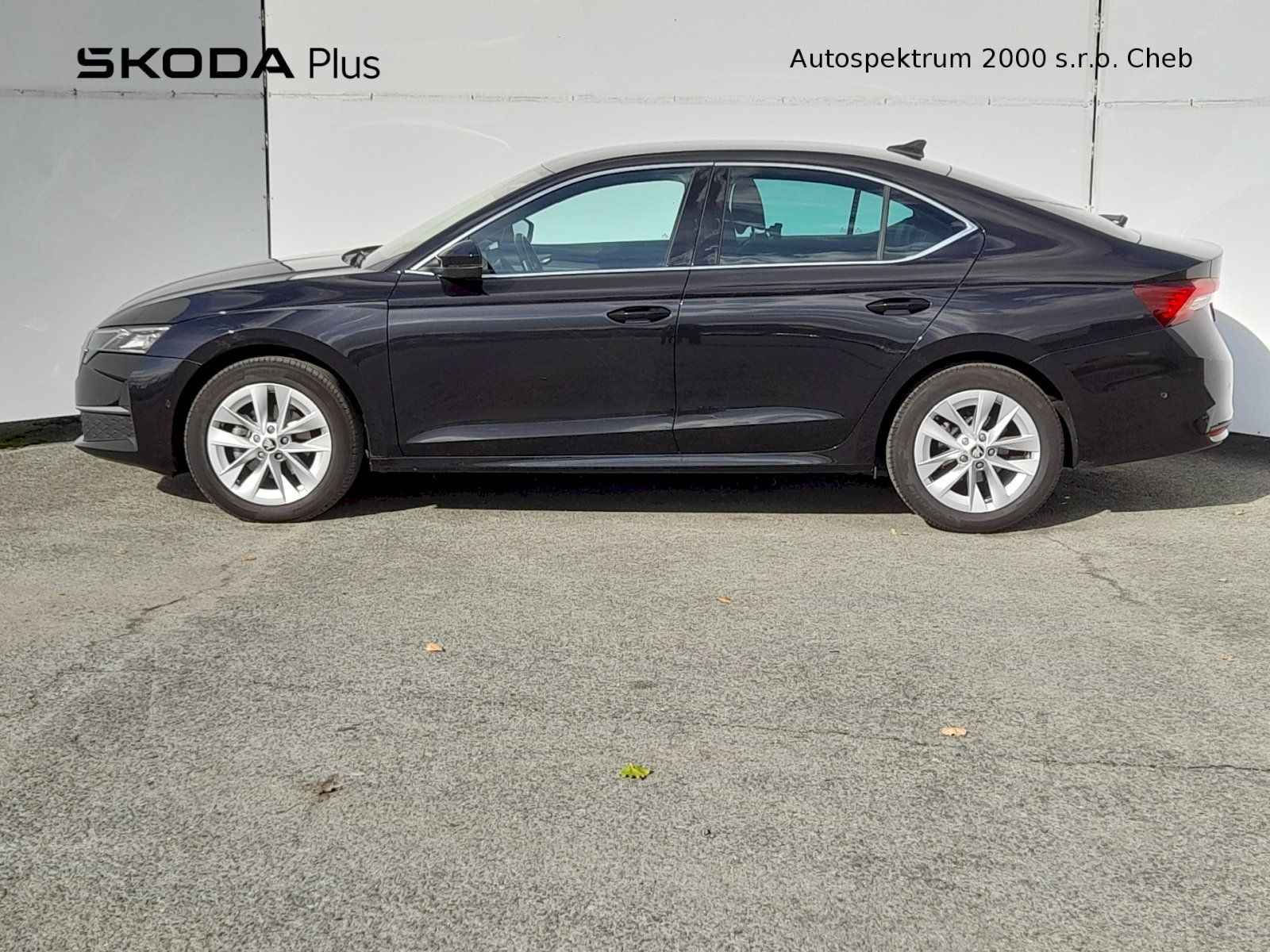 Škoda Octavia, Top Selection 2.0 TDI 110kW 7A - fotka 3