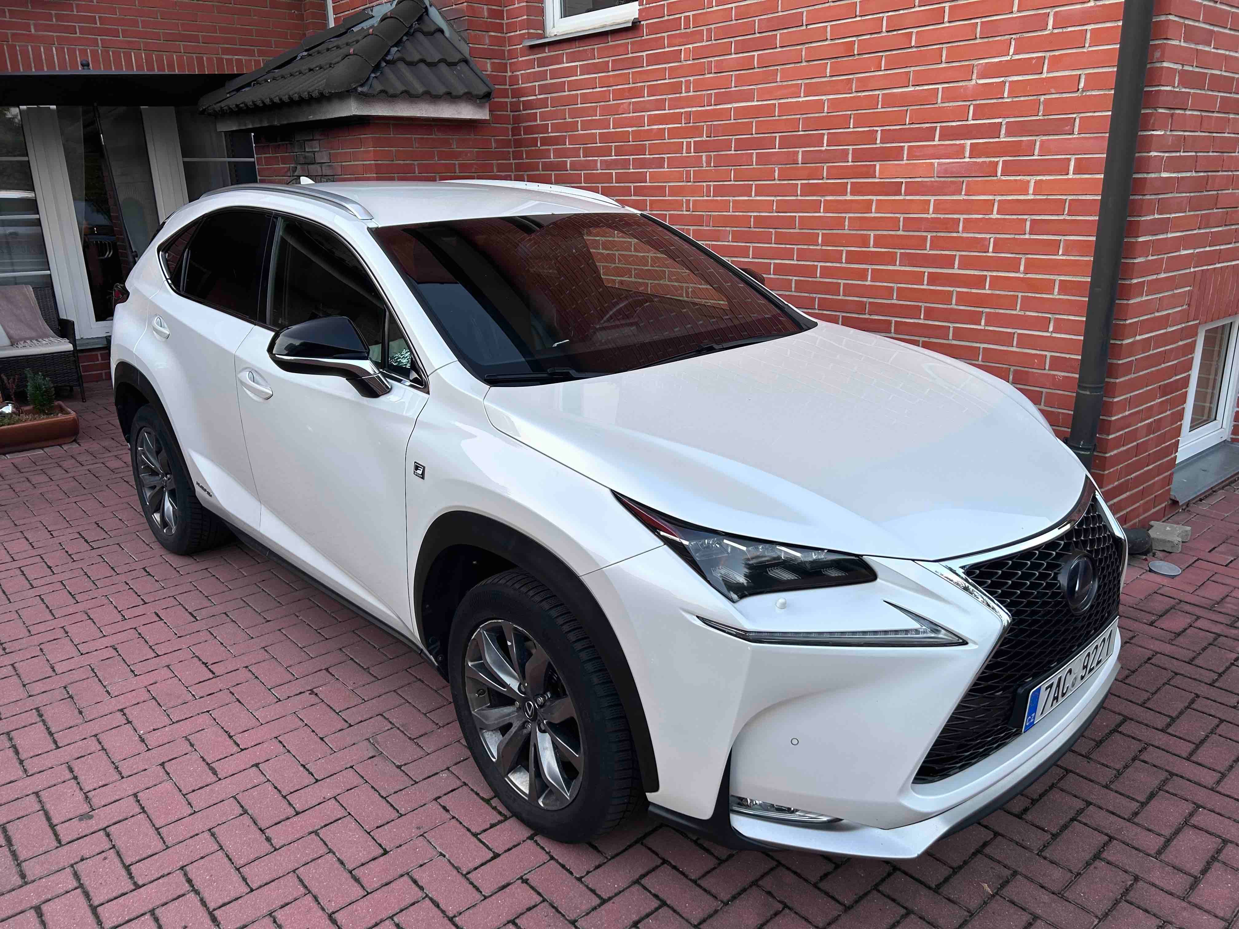 Lexus NX 300h, LEXUS NX 300h F-Sport