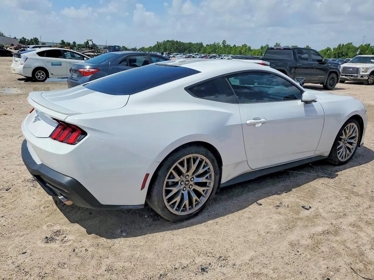 Ford Mustang, Auto na cestě - fotka 4