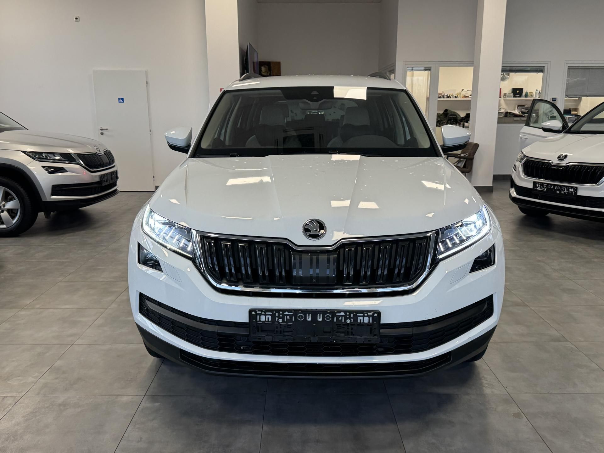 Škoda Kodiaq, 2,0TDi DSG 4x4 NAVI ACC LED - fotka 2
