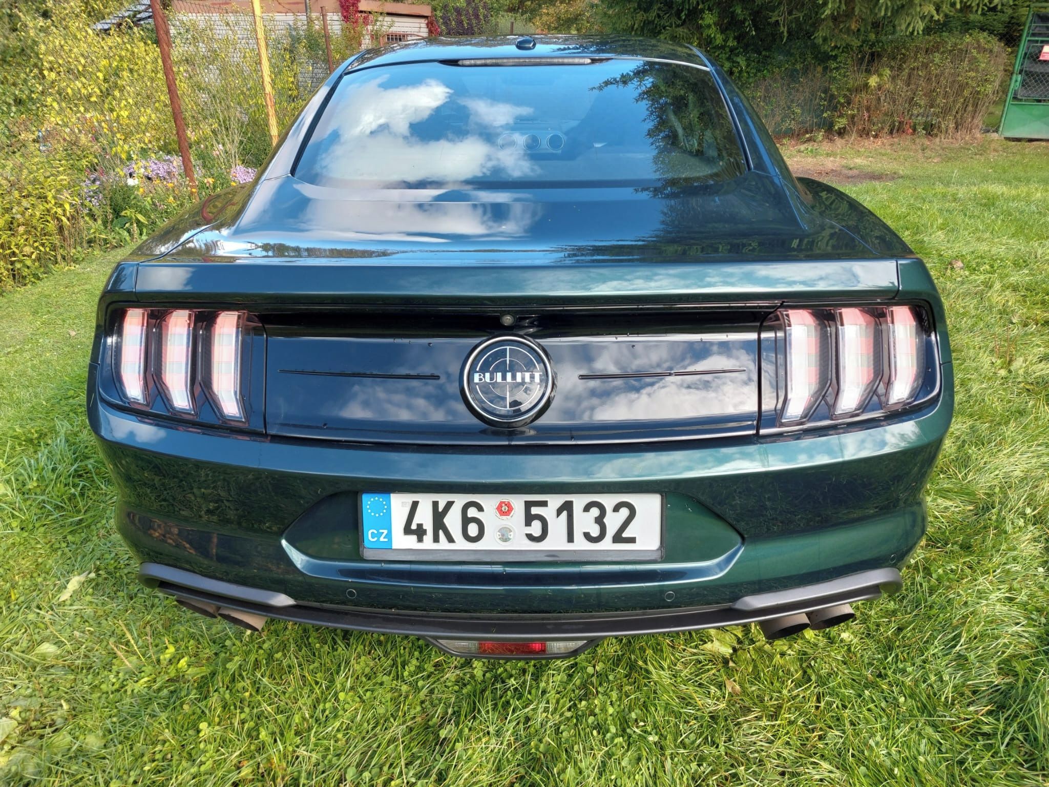 Ford Mustang - fotka 4