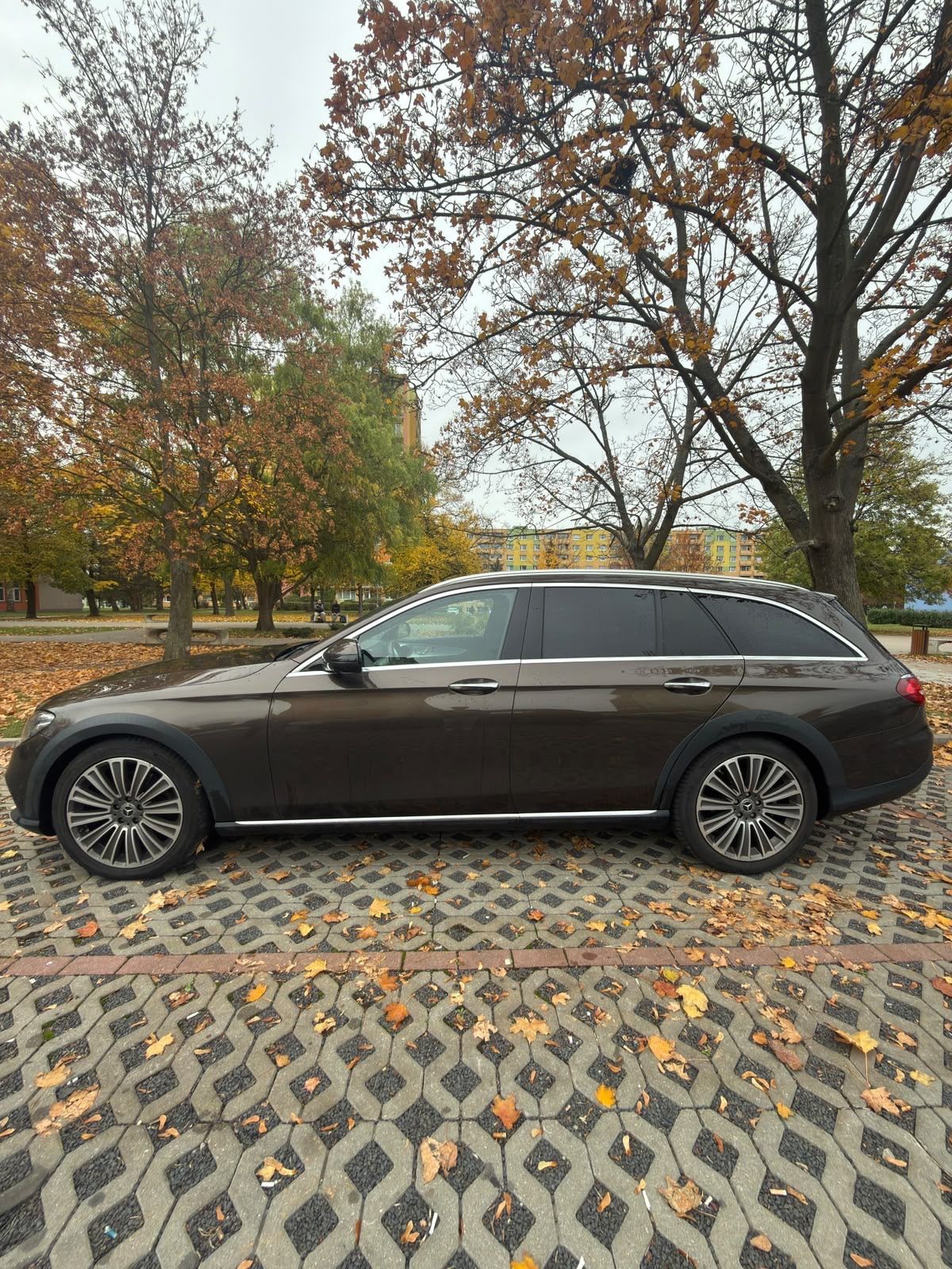 Mercedes-Benz Třídy E, Mercedes-Benz E220d allterrain - fotka 4