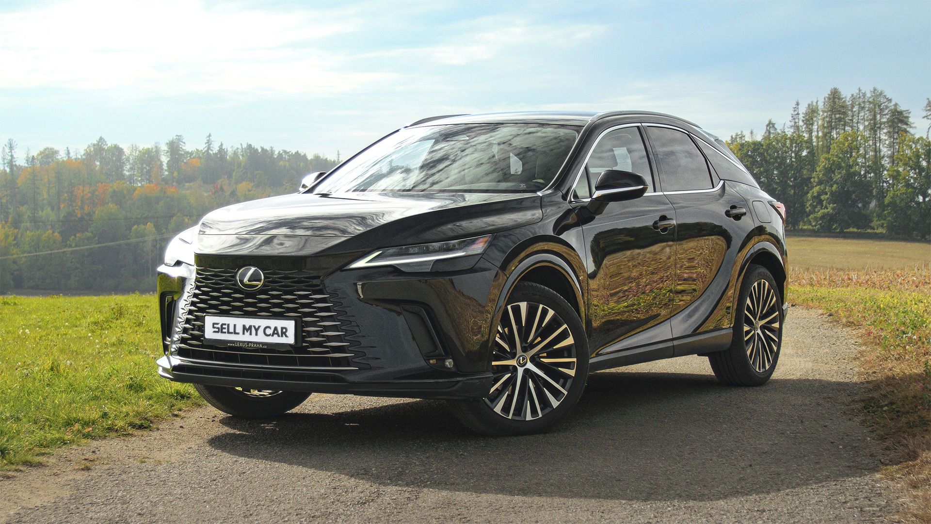 Lexus RX, 350H AWD 2,5/140kW ČR 1.Maj