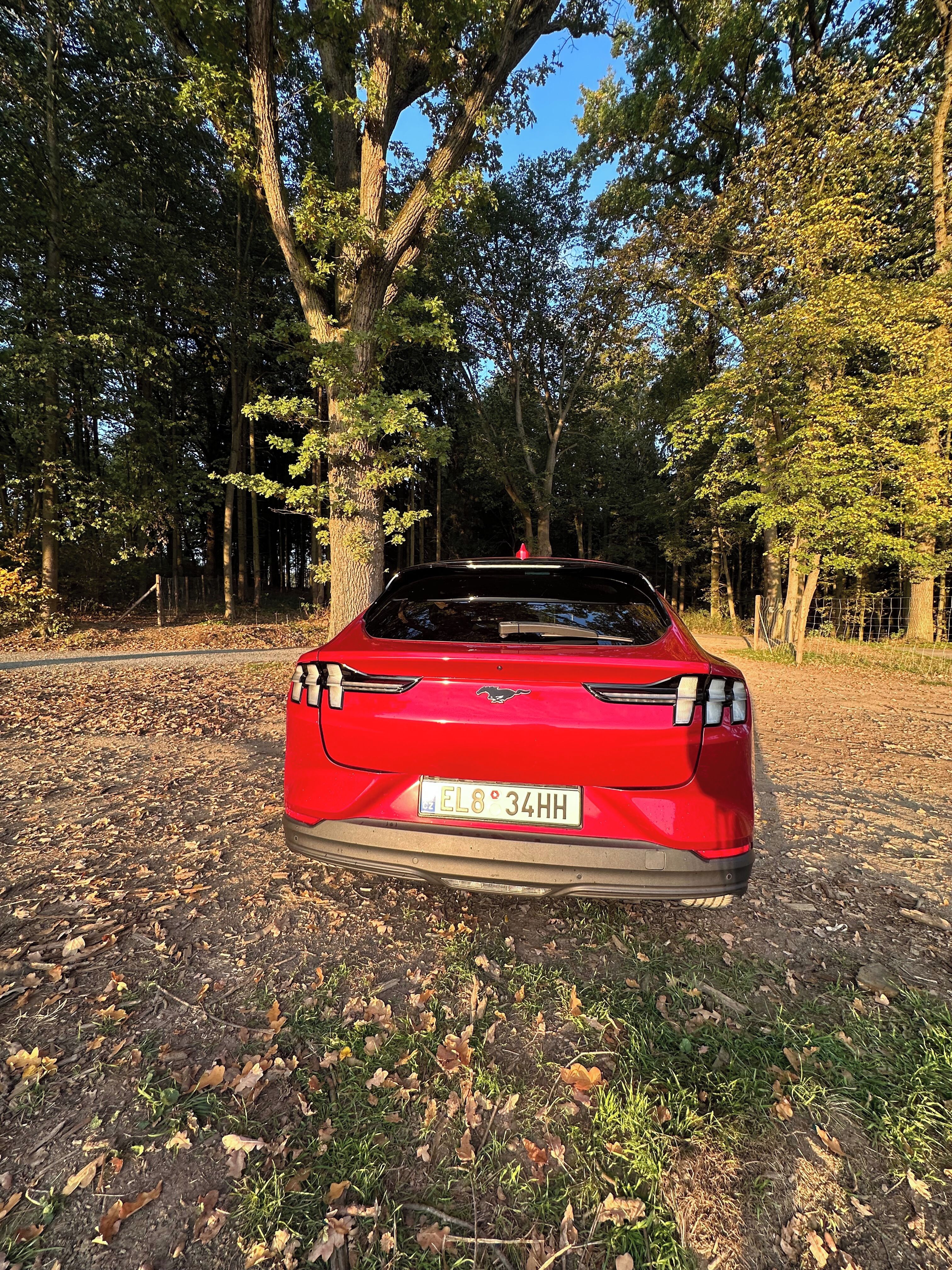 Ford Mustang Mach-E, Standard RWD 92% Tech Packet - fotka 6
