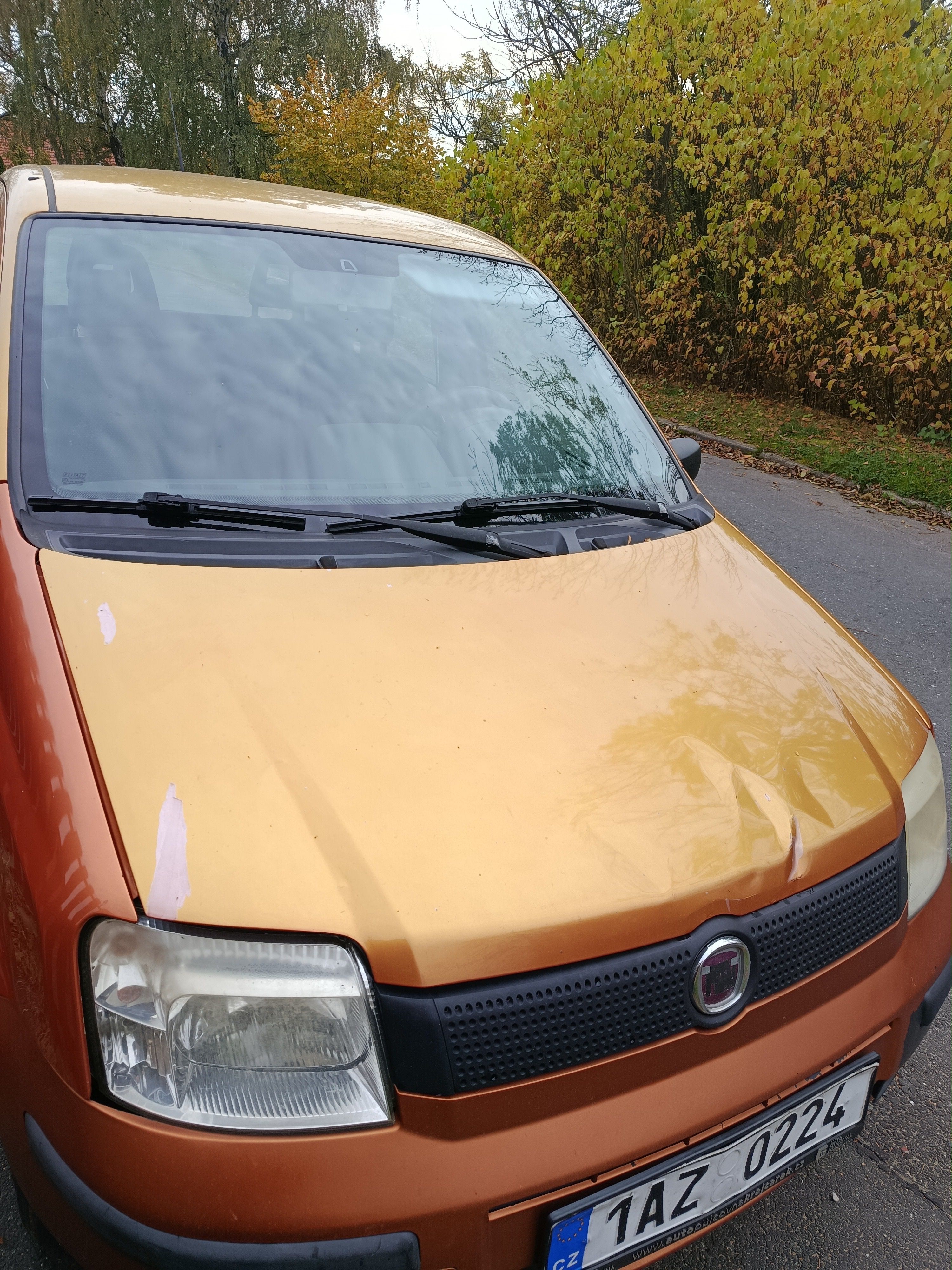Fiat Panda, 1.1 po servisu - fotka 3
