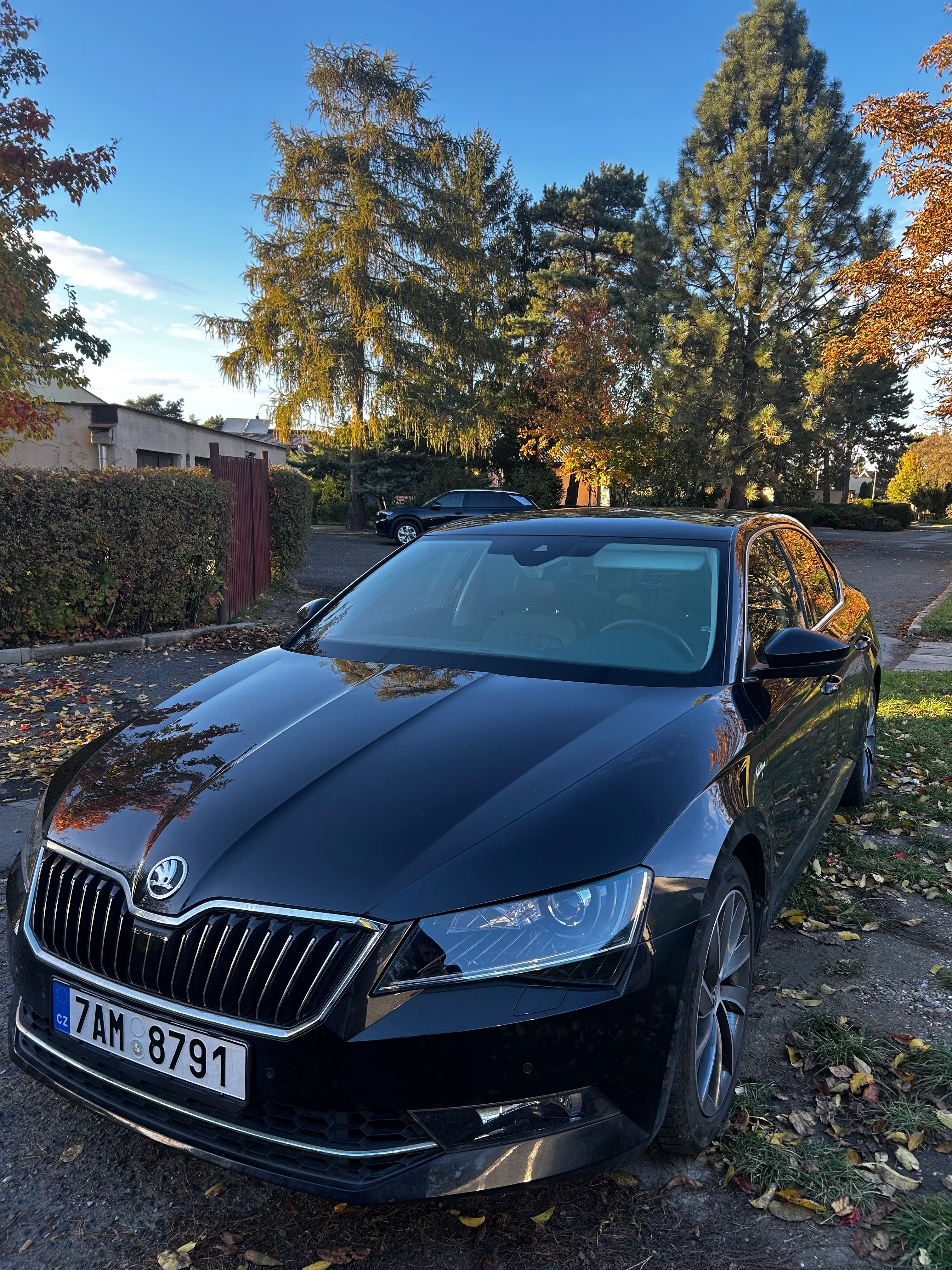 Škoda Superb, 2.0TSi 206Kw 4x4 - fotka 2