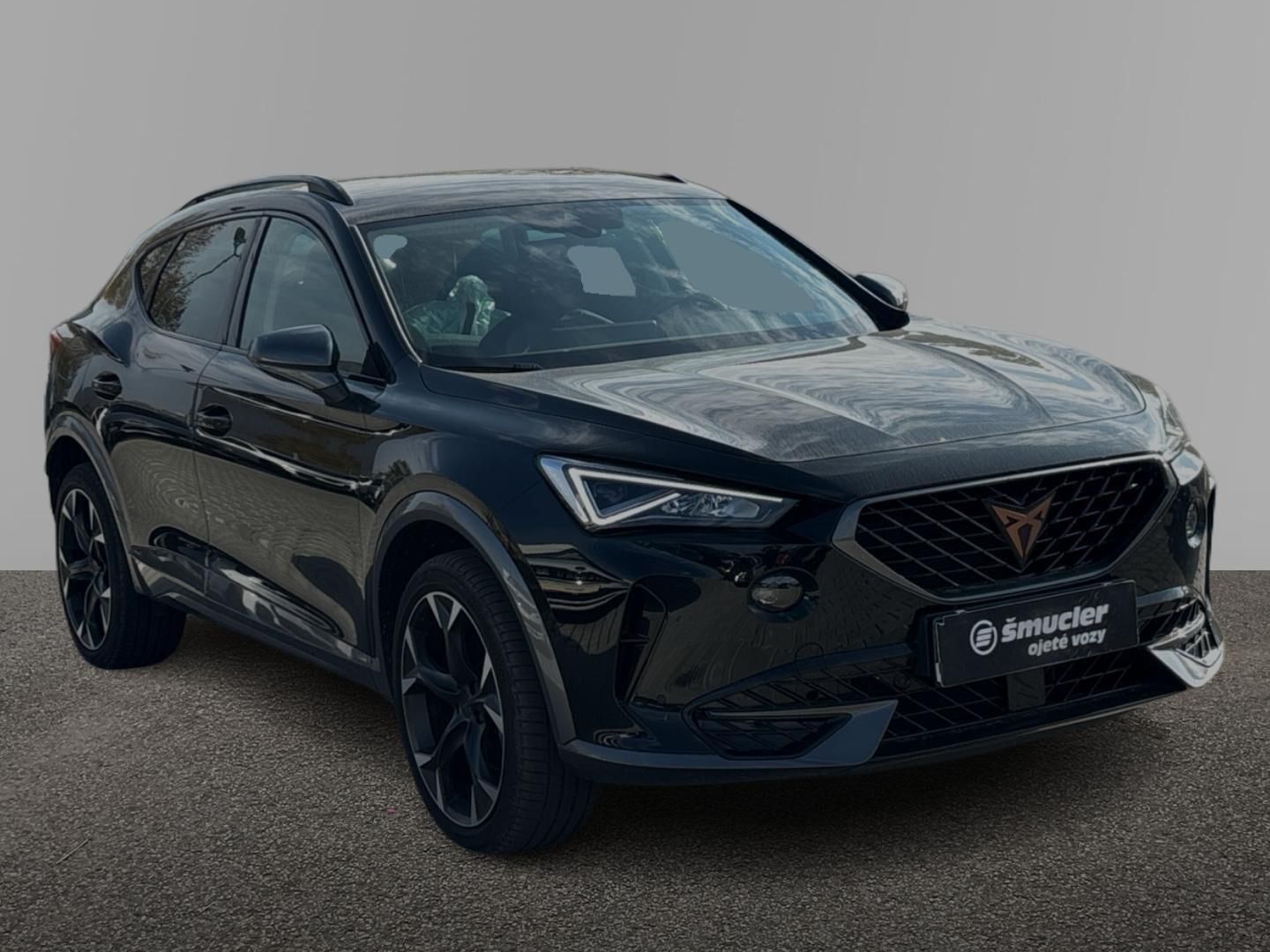 Cupra Formentor, 1.5 TSI / 110 kW DSG - fotka 3