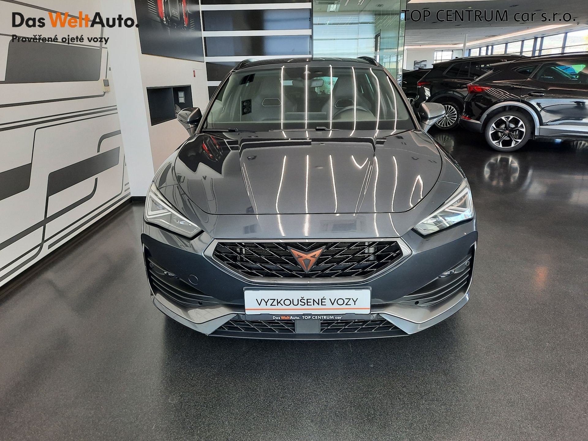 Cupra Leon, SP 1.5 TSI (110kW/150k) DSG - fotka 4