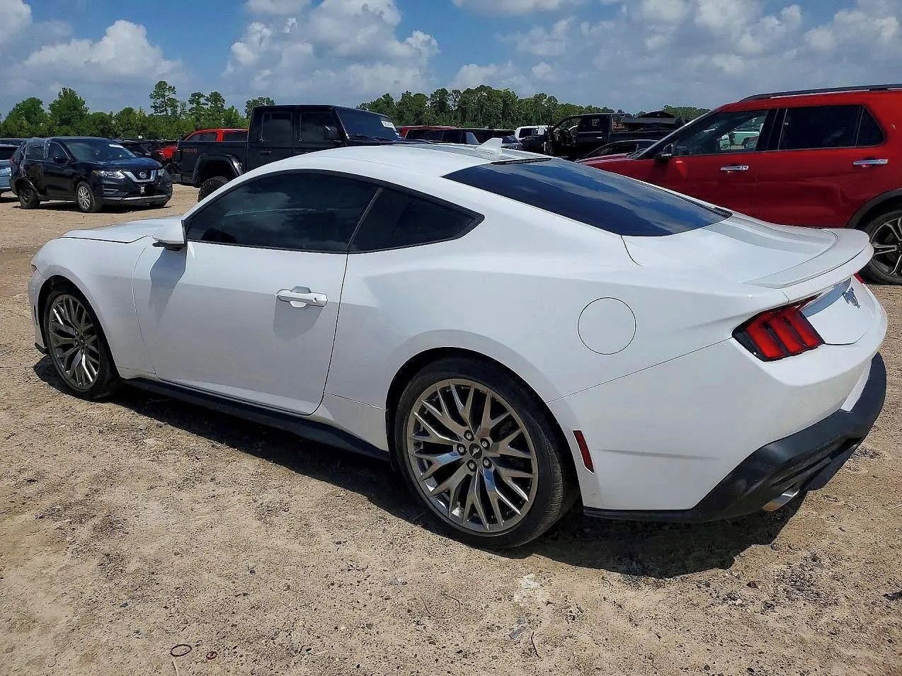 Ford Mustang, Auto na cestě - fotka 3
