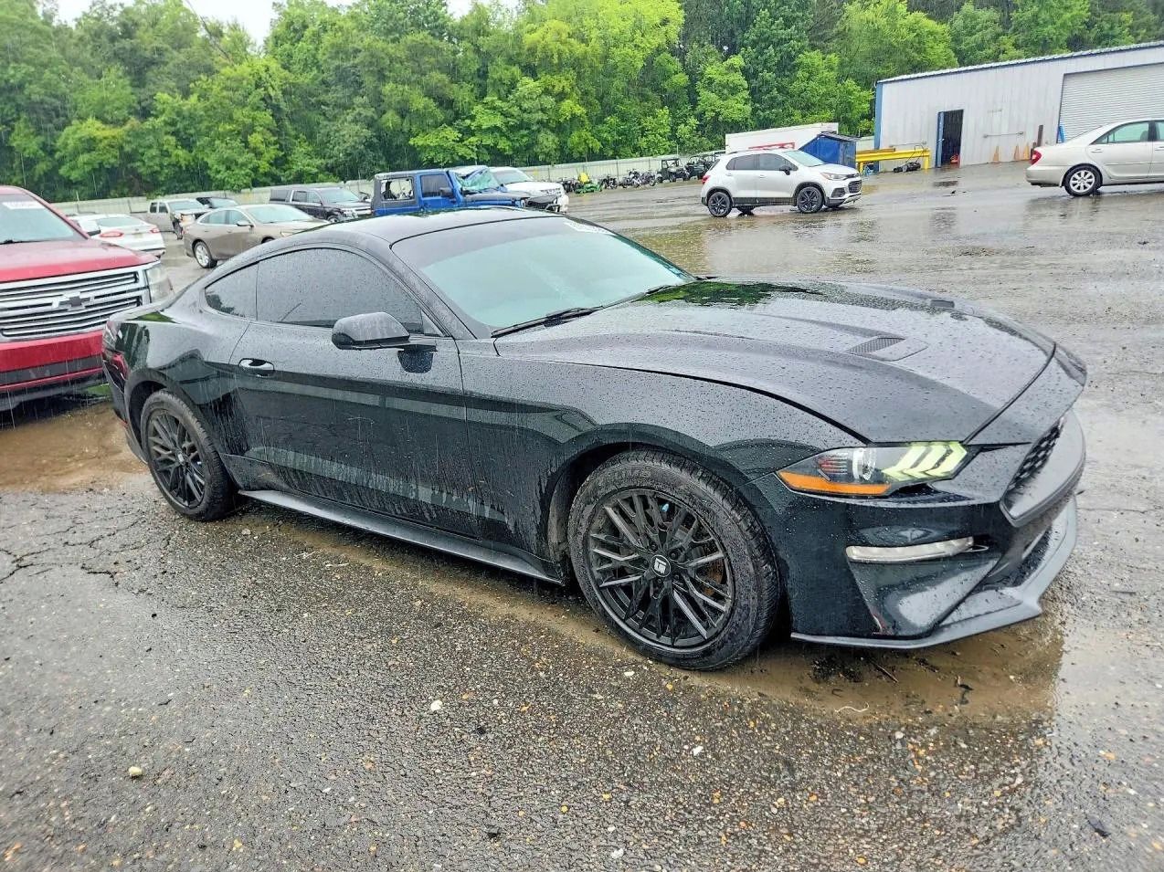 Ford Mustang, Auto na cestě - fotka 2