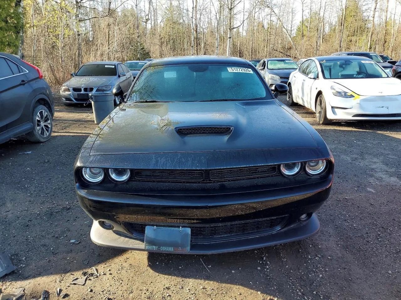 Dodge Challenger, Auto na cestě - fotka 5