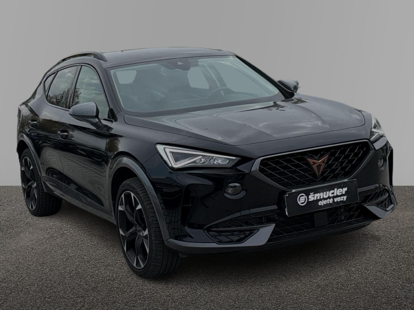 Cupra Formentor, 2.0 TSI / 140 kW 4Drive DSG - fotka 3