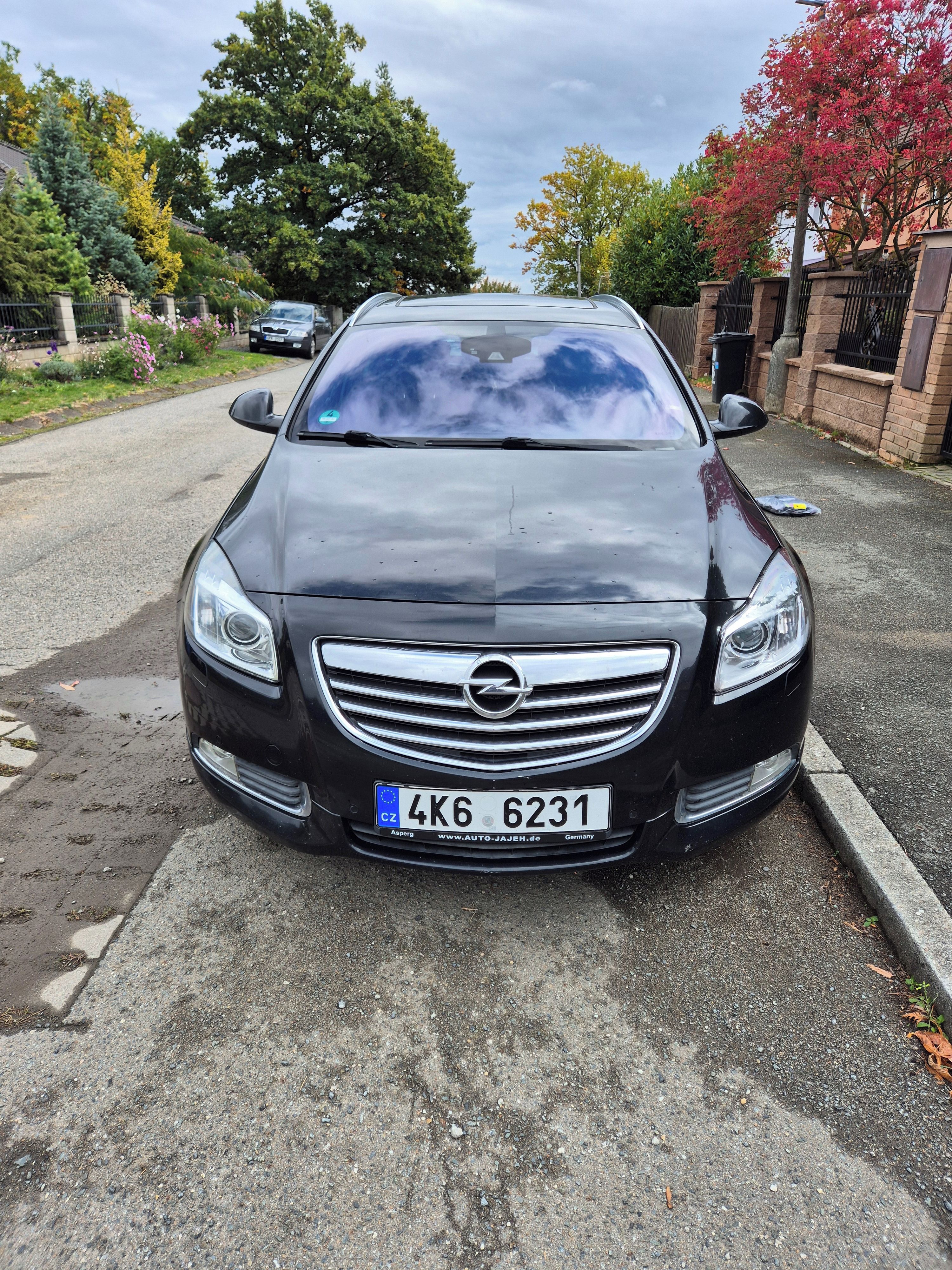 Opel Insignia, 2.0 CDTI OPC LINE,  XENON - fotka 2