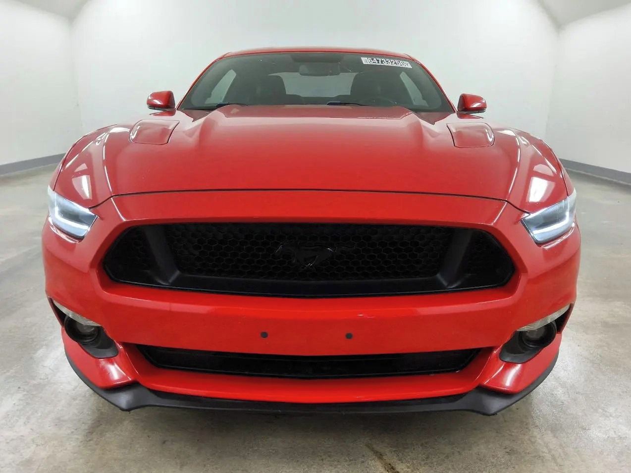 Ford Mustang, Auto na cestě - fotka 5