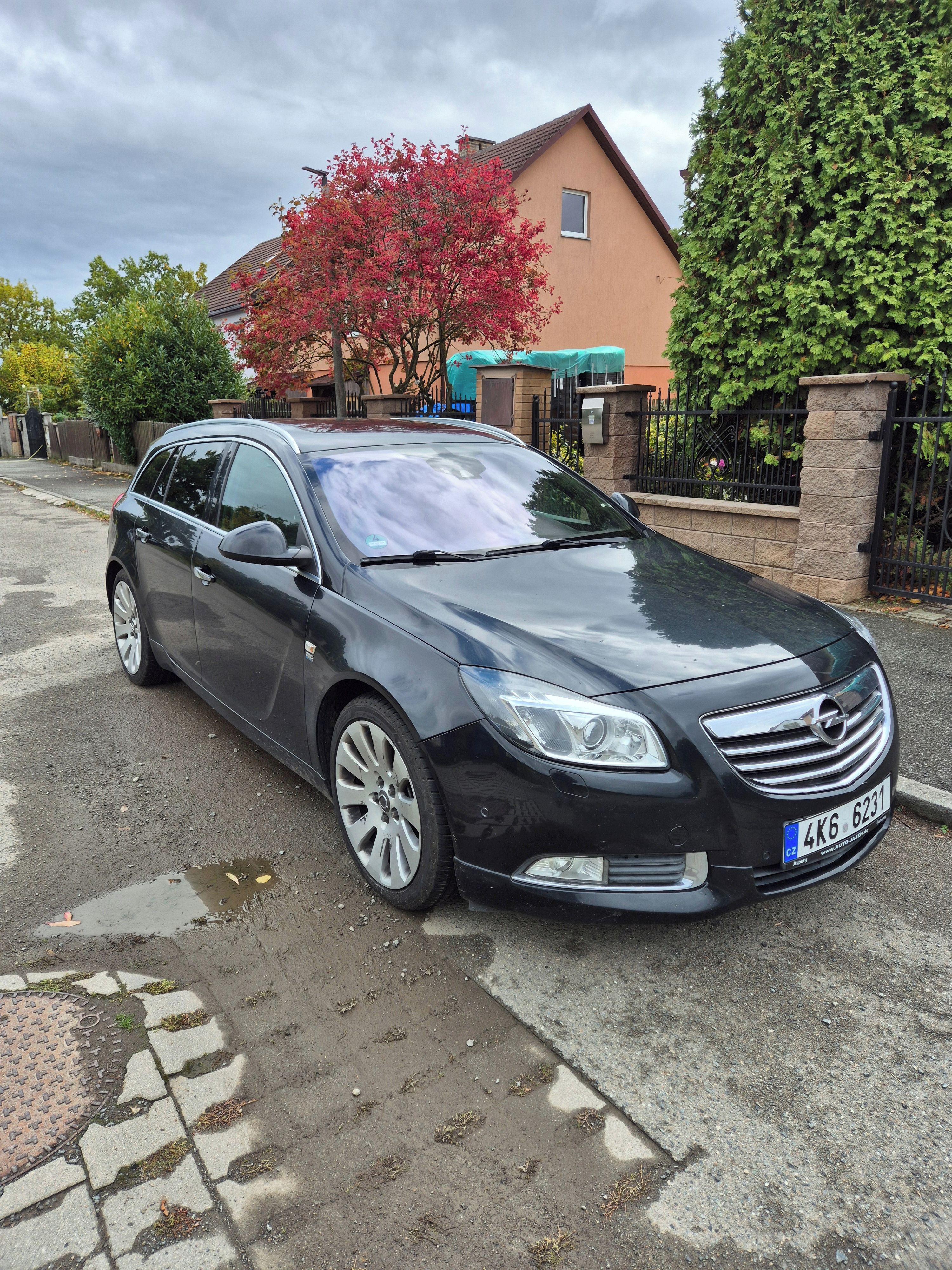 Opel Insignia, 2.0 CDTI OPC LINE,  XENON