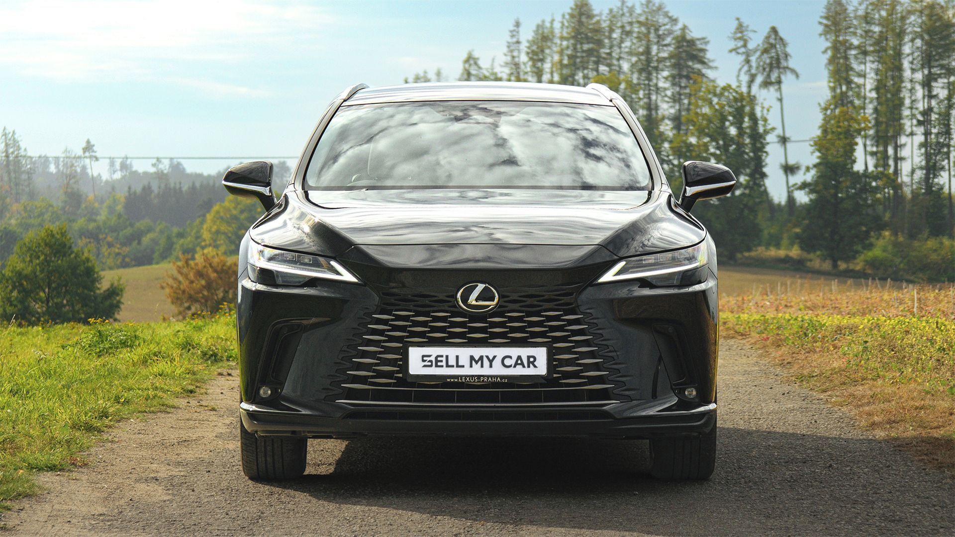 Lexus RX, 350H AWD 2,5/140kW ČR 1.Maj - fotka 2