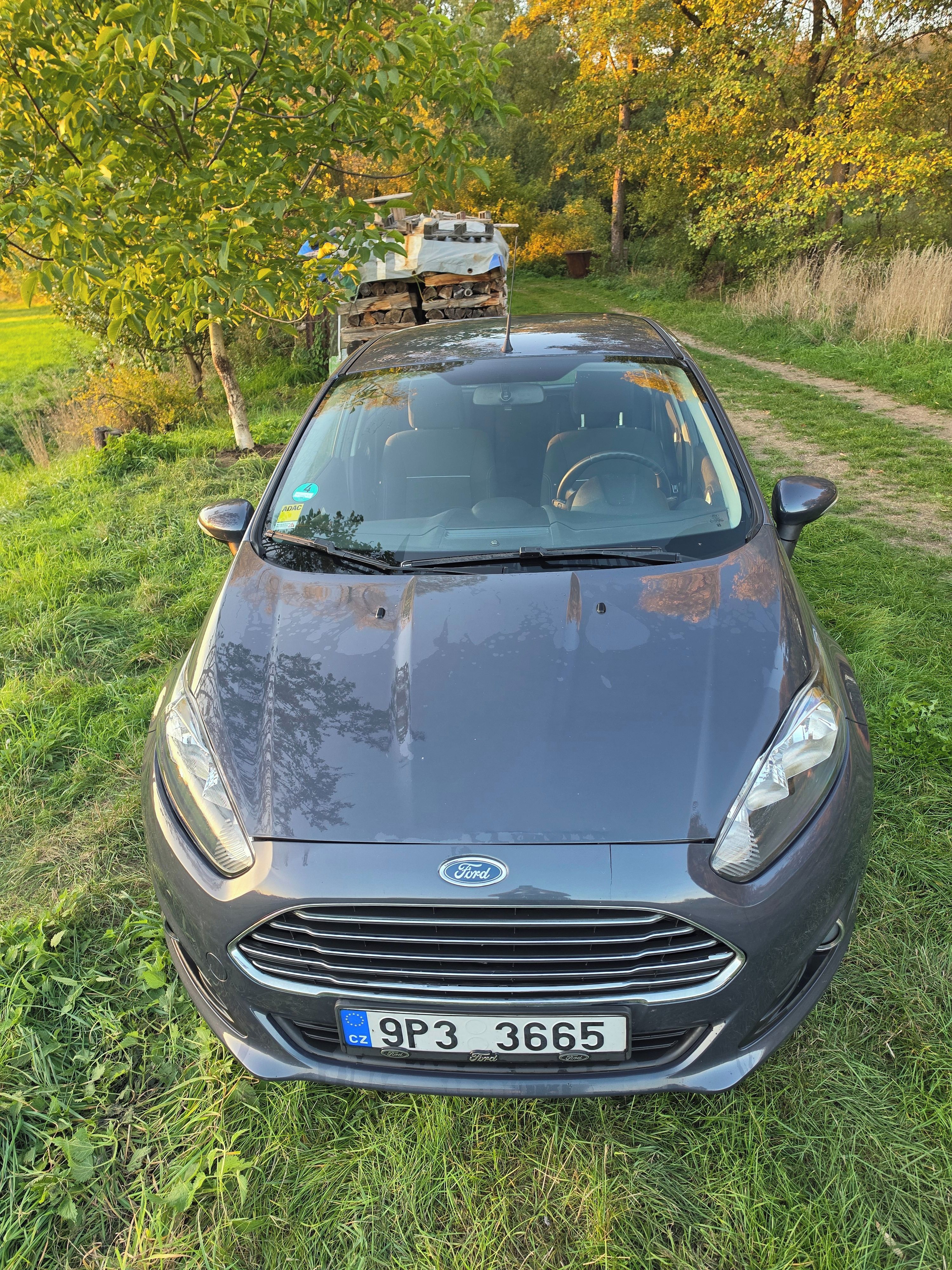 Ford Fiesta, 1.0. EcoBoost, servisováno