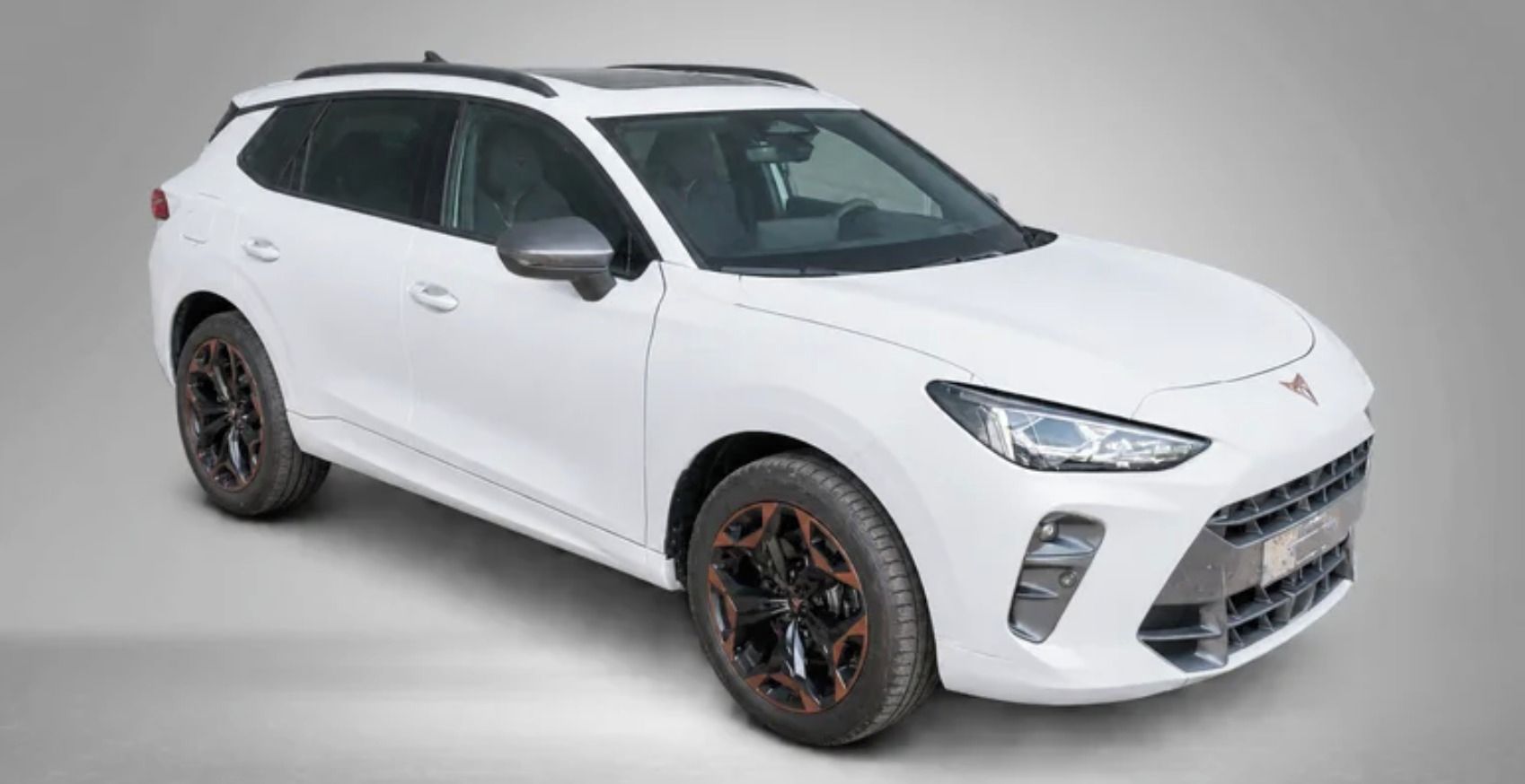 Cupra Terramar, VZ 2.0 TSI 195 kW 7DSG - fotka 4