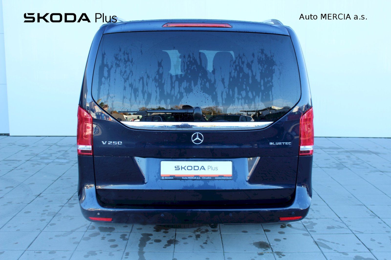 Mercedes-Benz Třídy V, V 250 BLUETEC EDITION 1 L - fotka 6